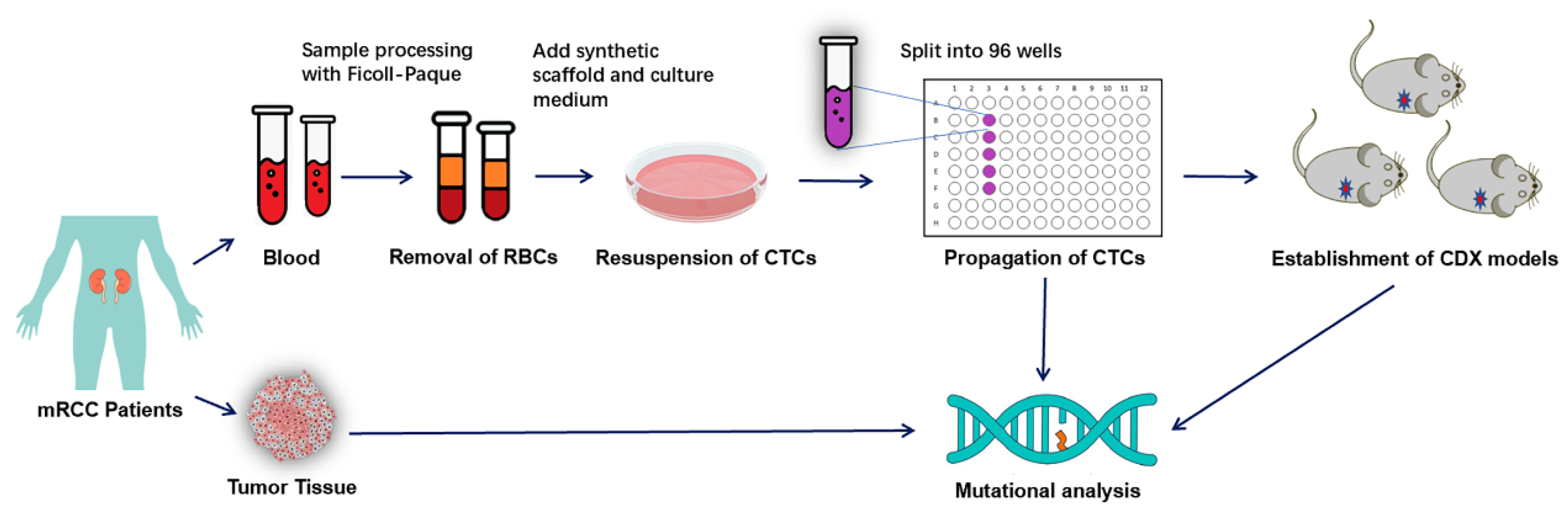 Diagnostics 13 01855 g001