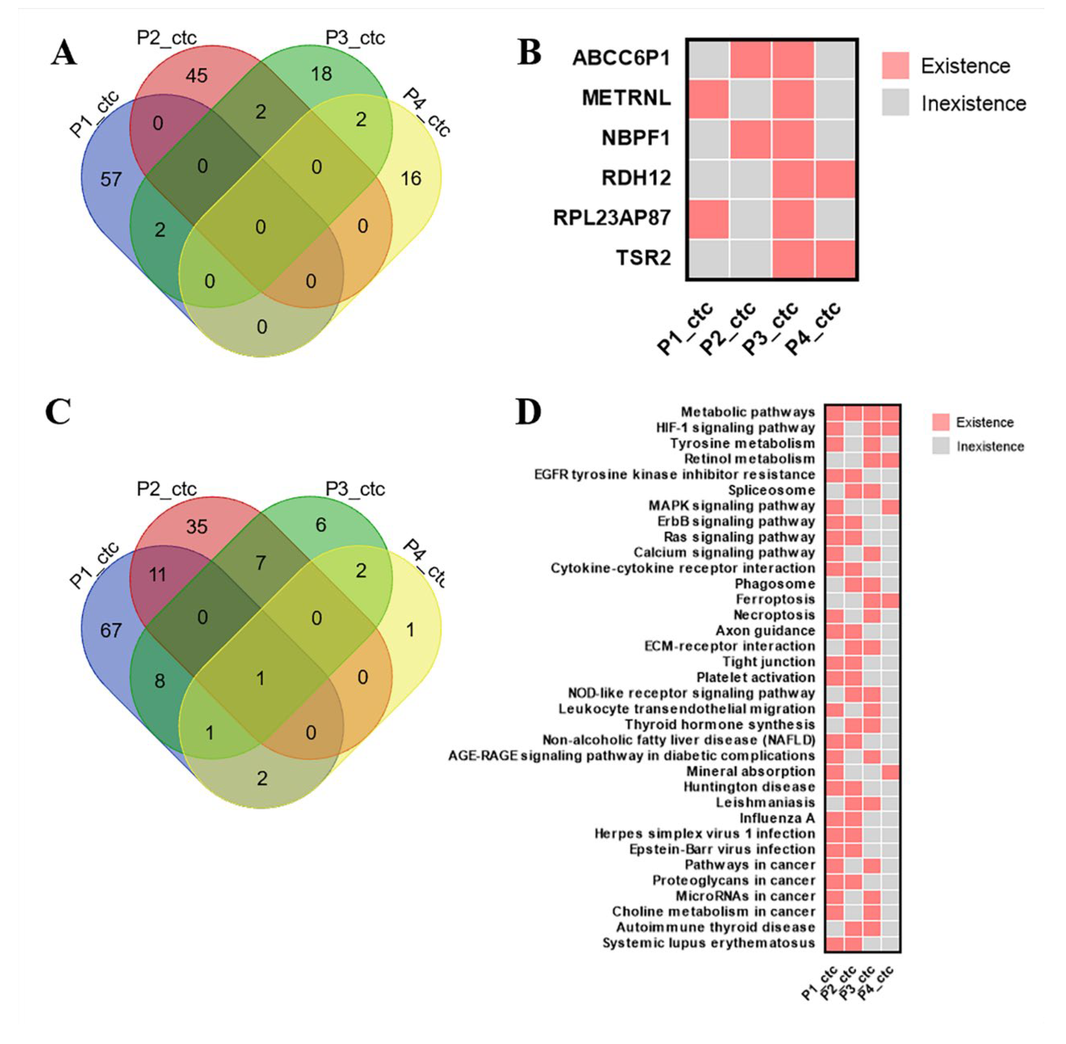 Diagnostics 13 01855 g004