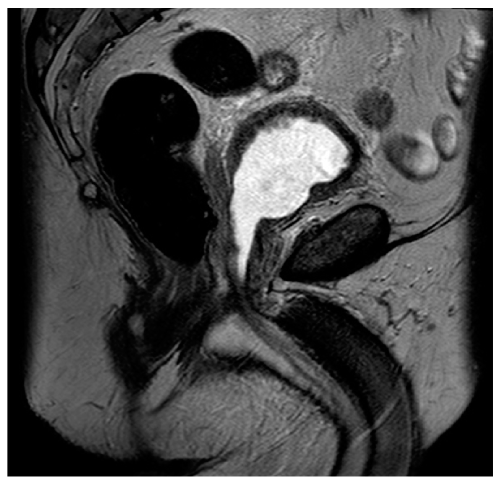 Diagnostics 13 01860 g006