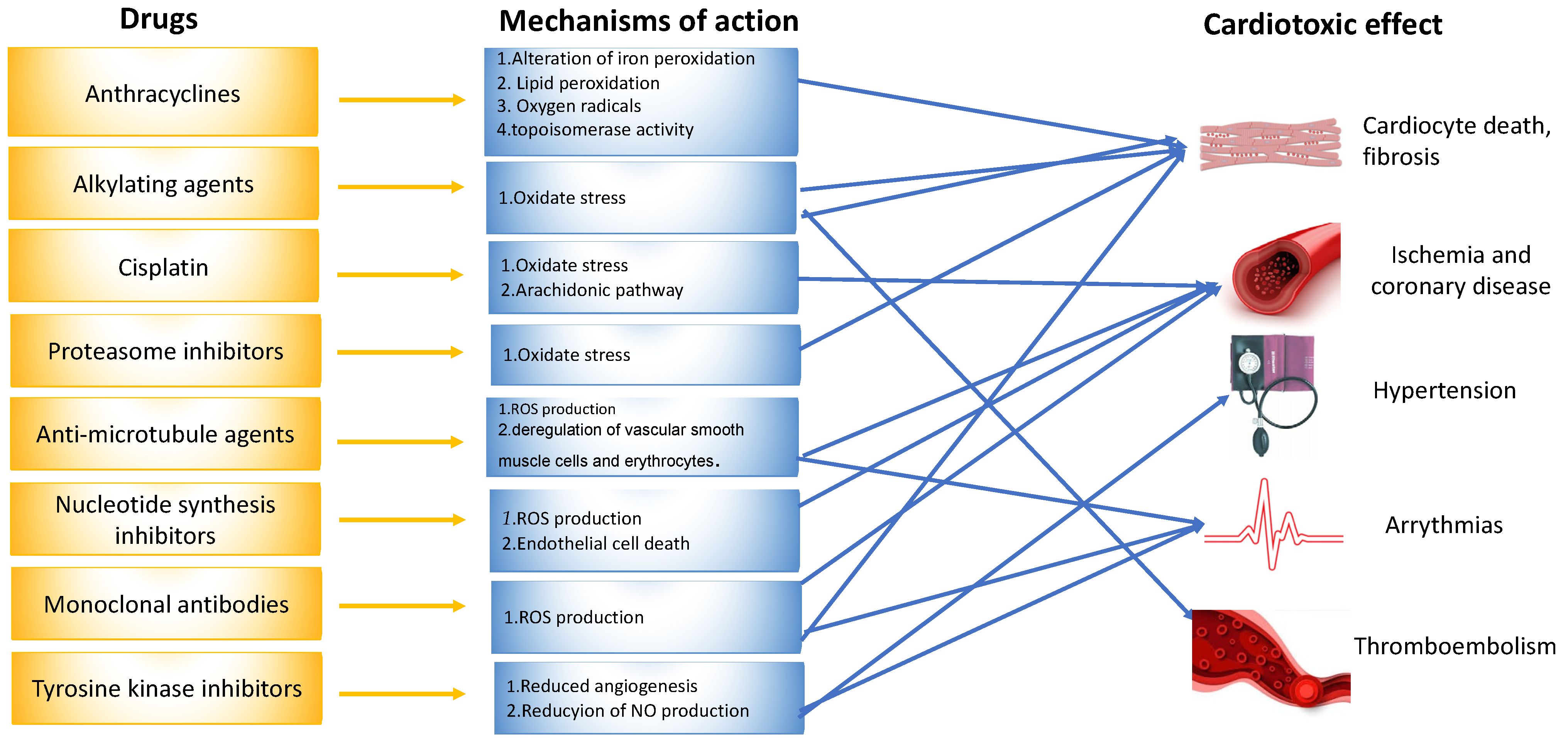 Diagnostics 13 01864 g002