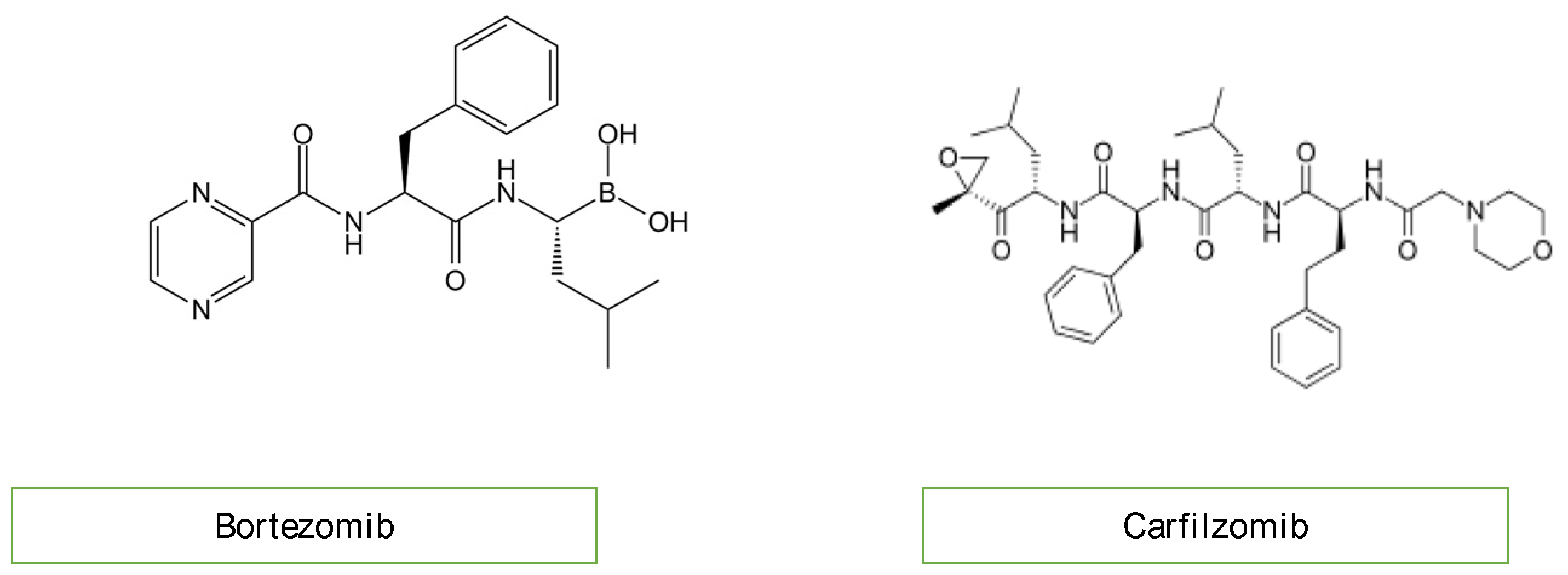 Diagnostics 13 01864 g006