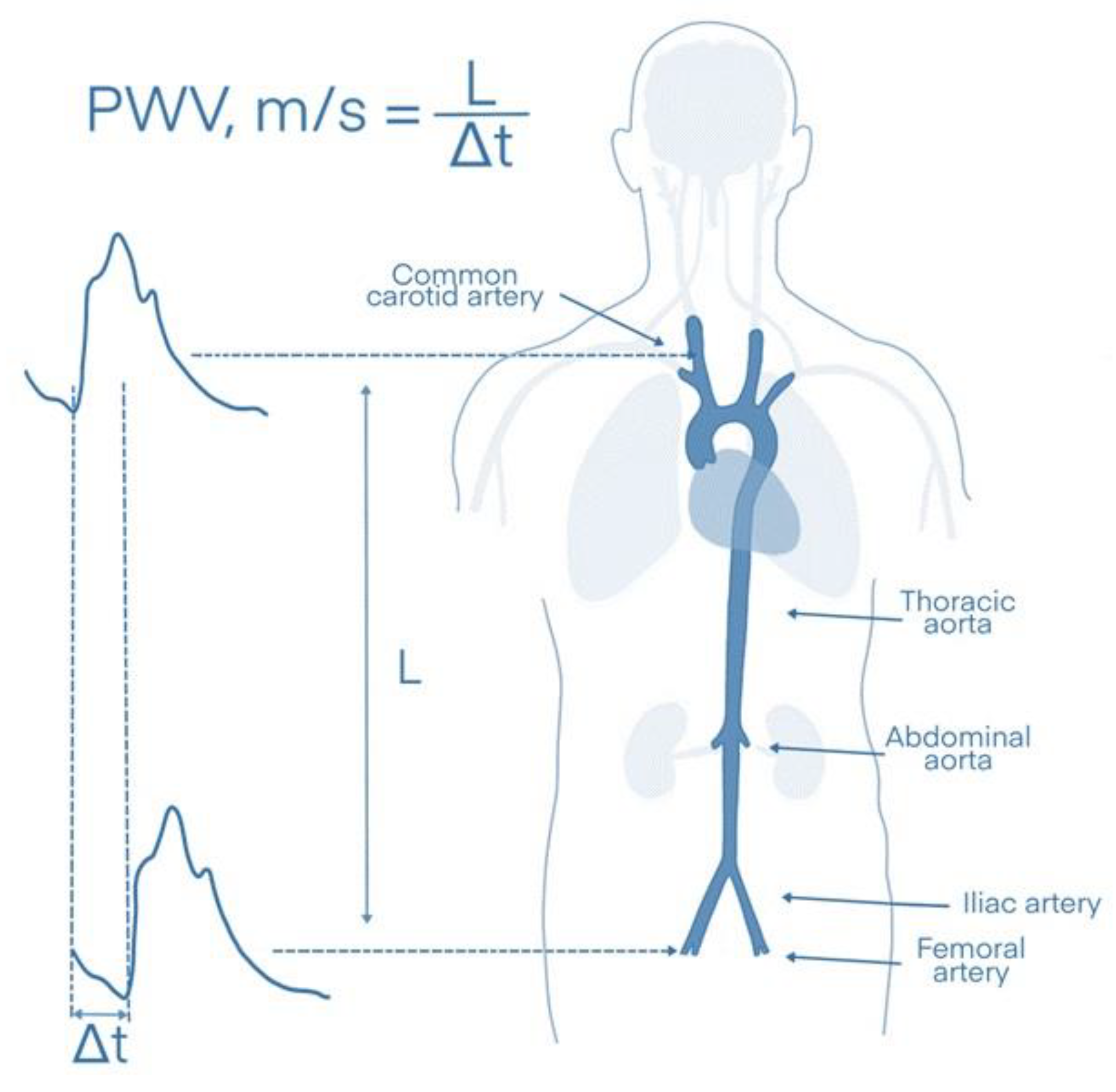 Diagnostics 13 01870 g002 Diagnostics 13 01870 g002
