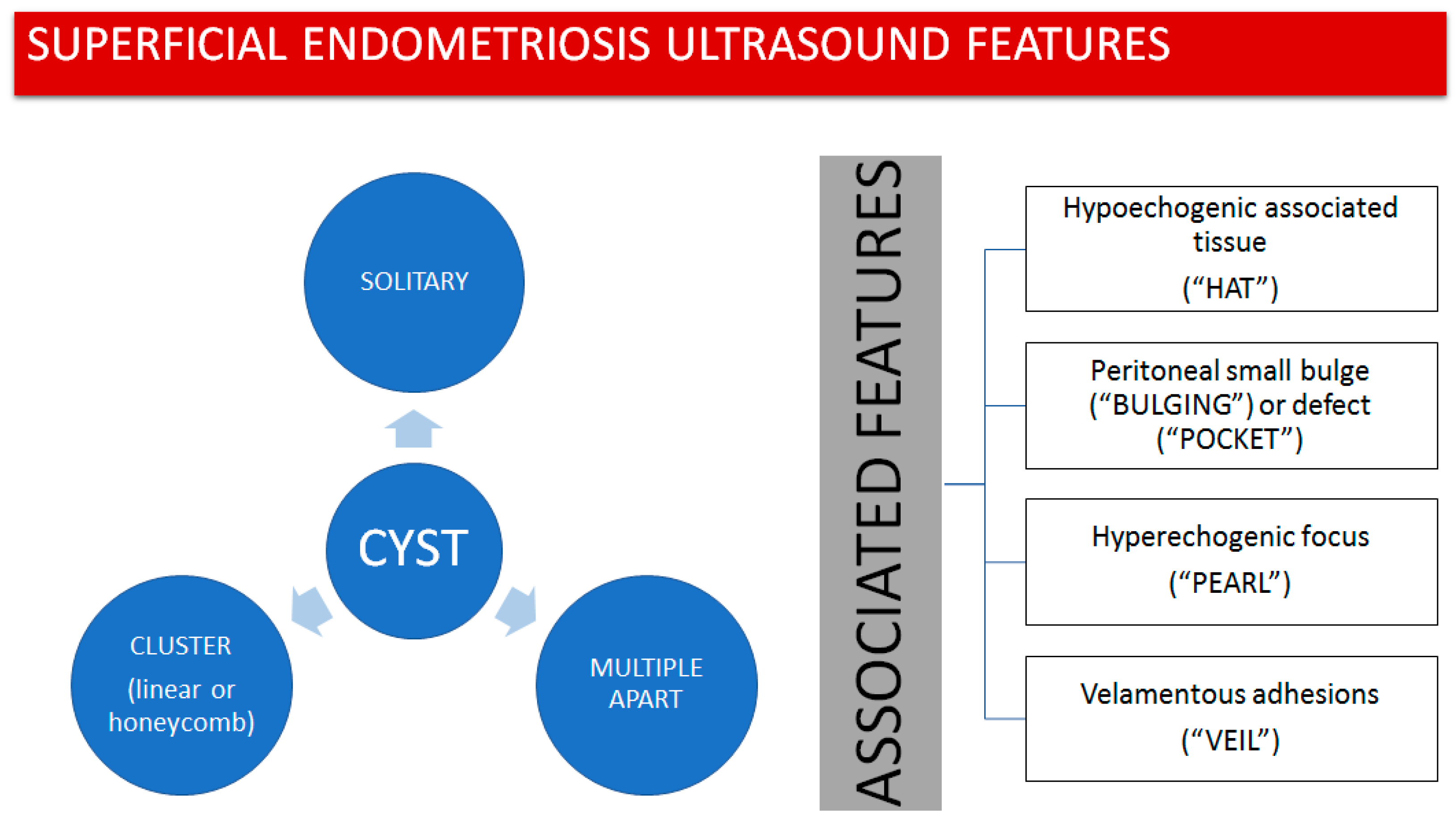 Diagnostics 13 01876 g001