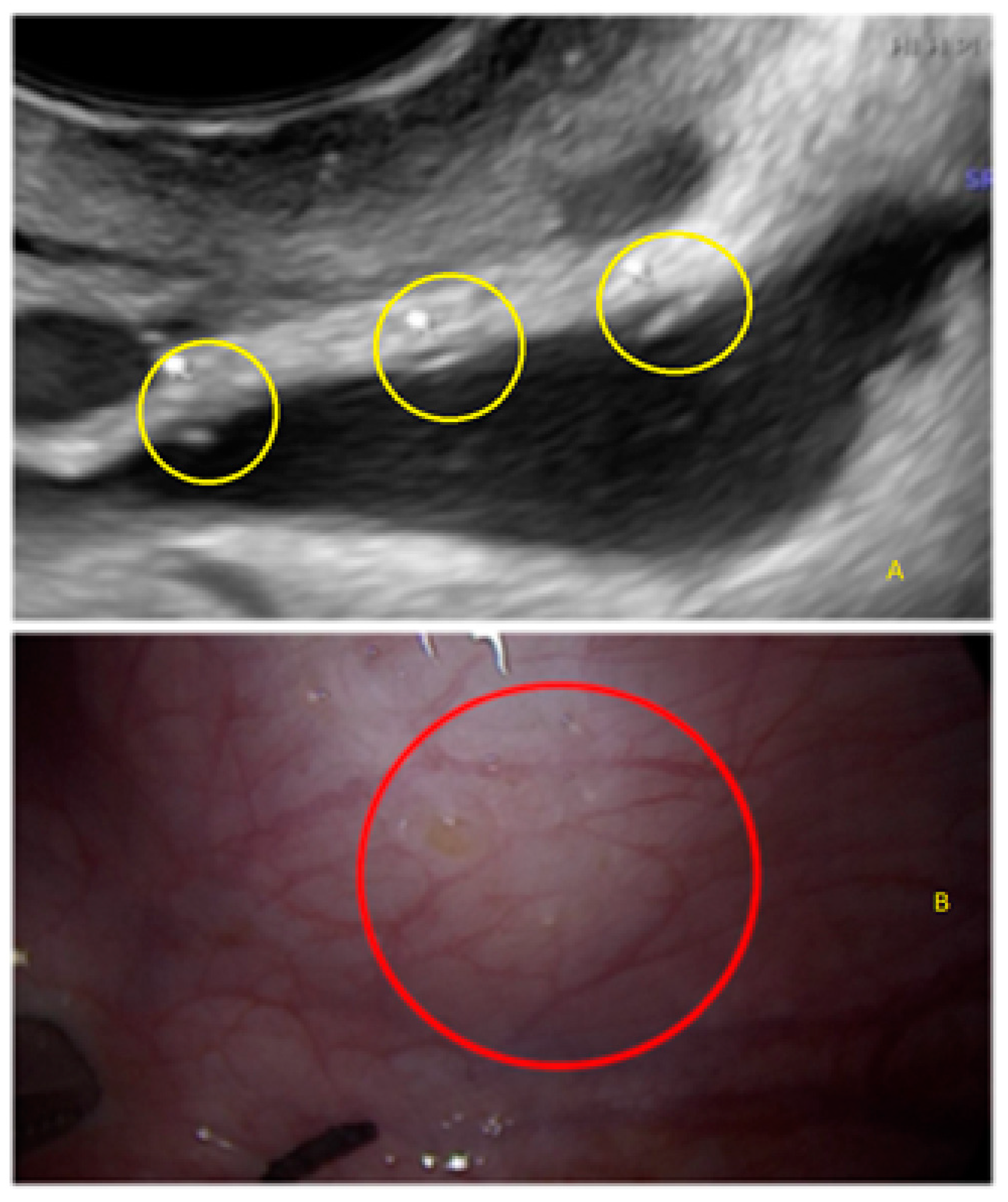 Diagnostics 13 01876 g007