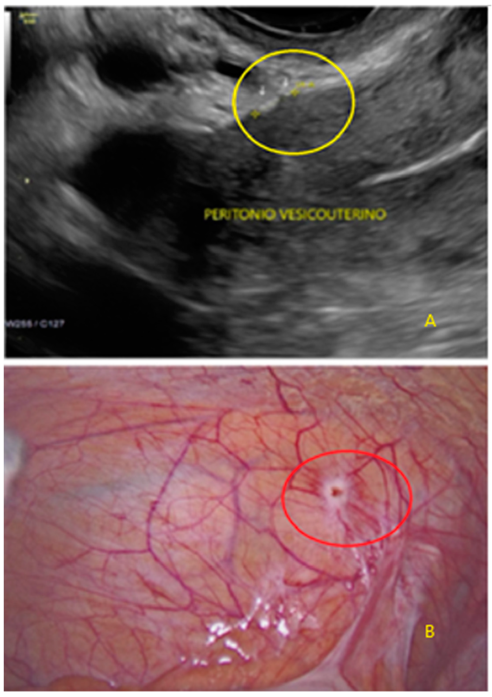 Diagnostics 13 01876 g018