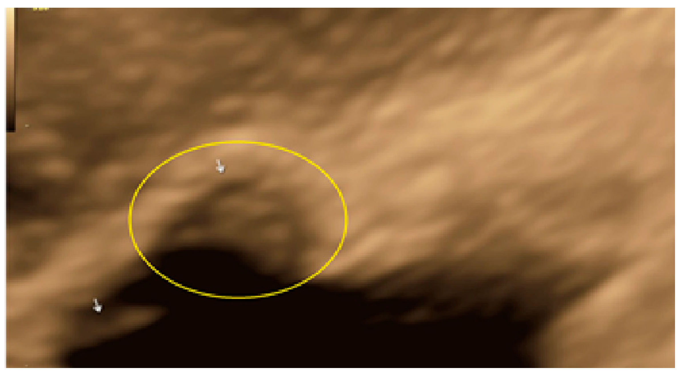 Diagnostics 13 01876 g030