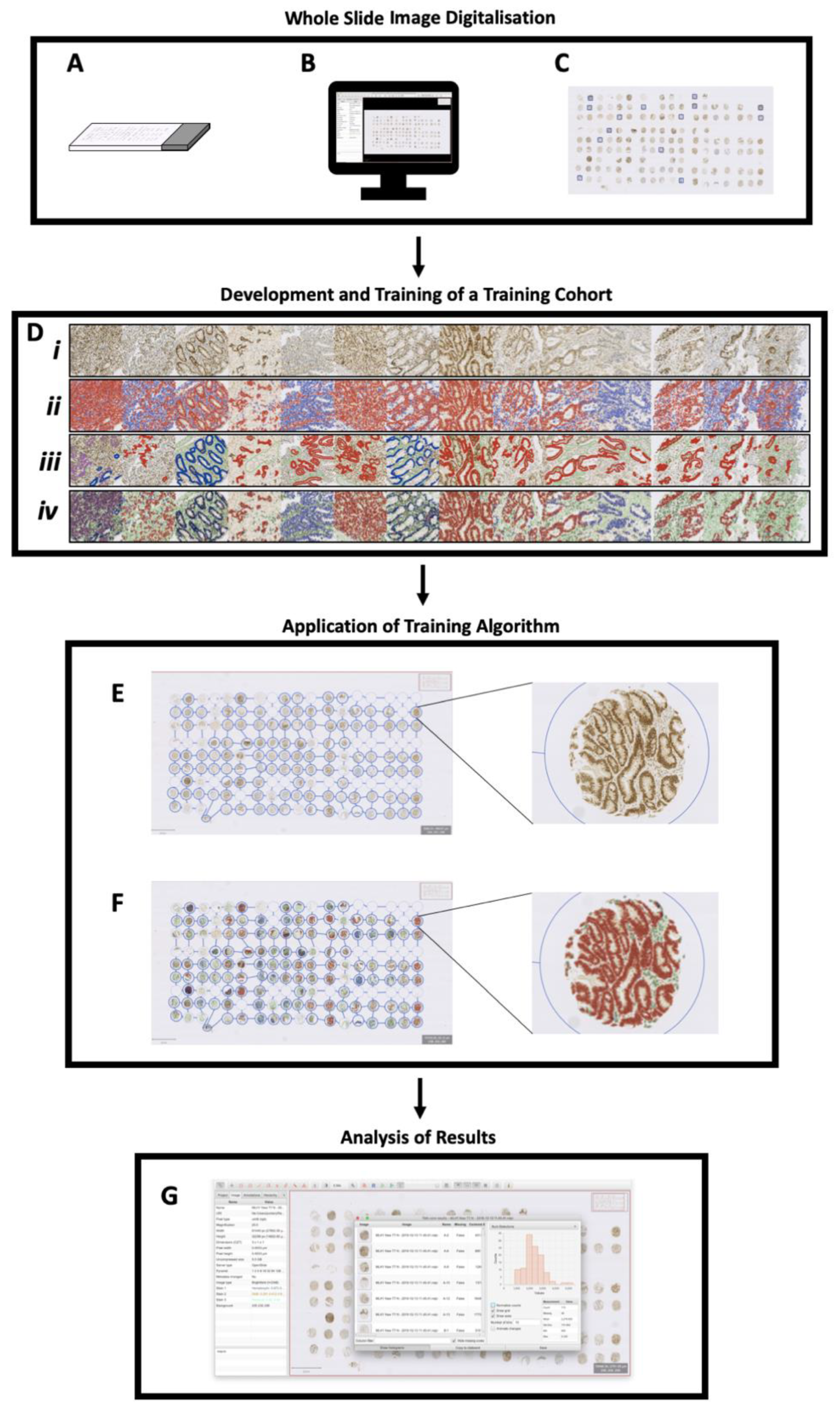 Diagnostics 13 01890 g001