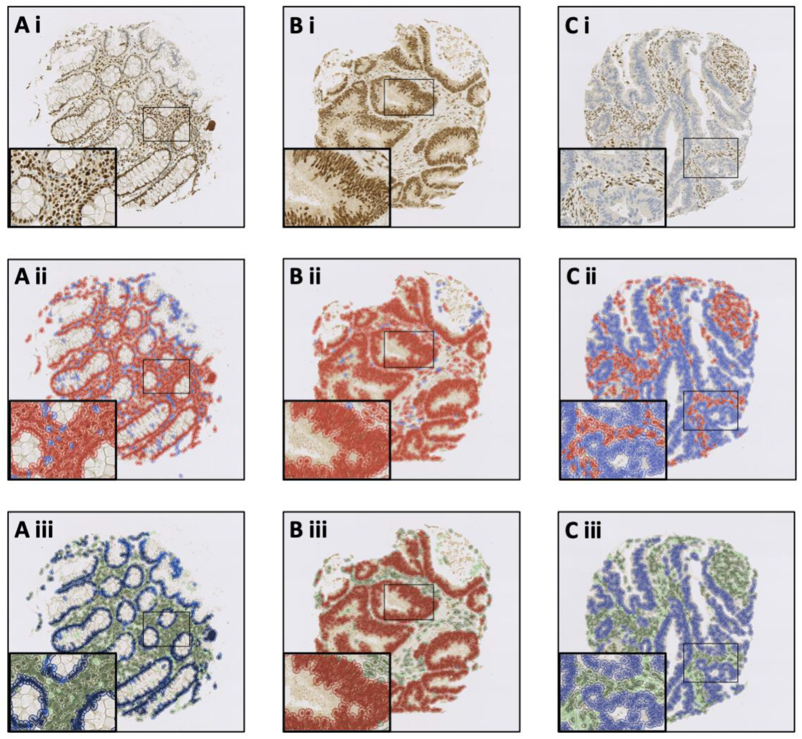 Diagnostics 13 01890 g002