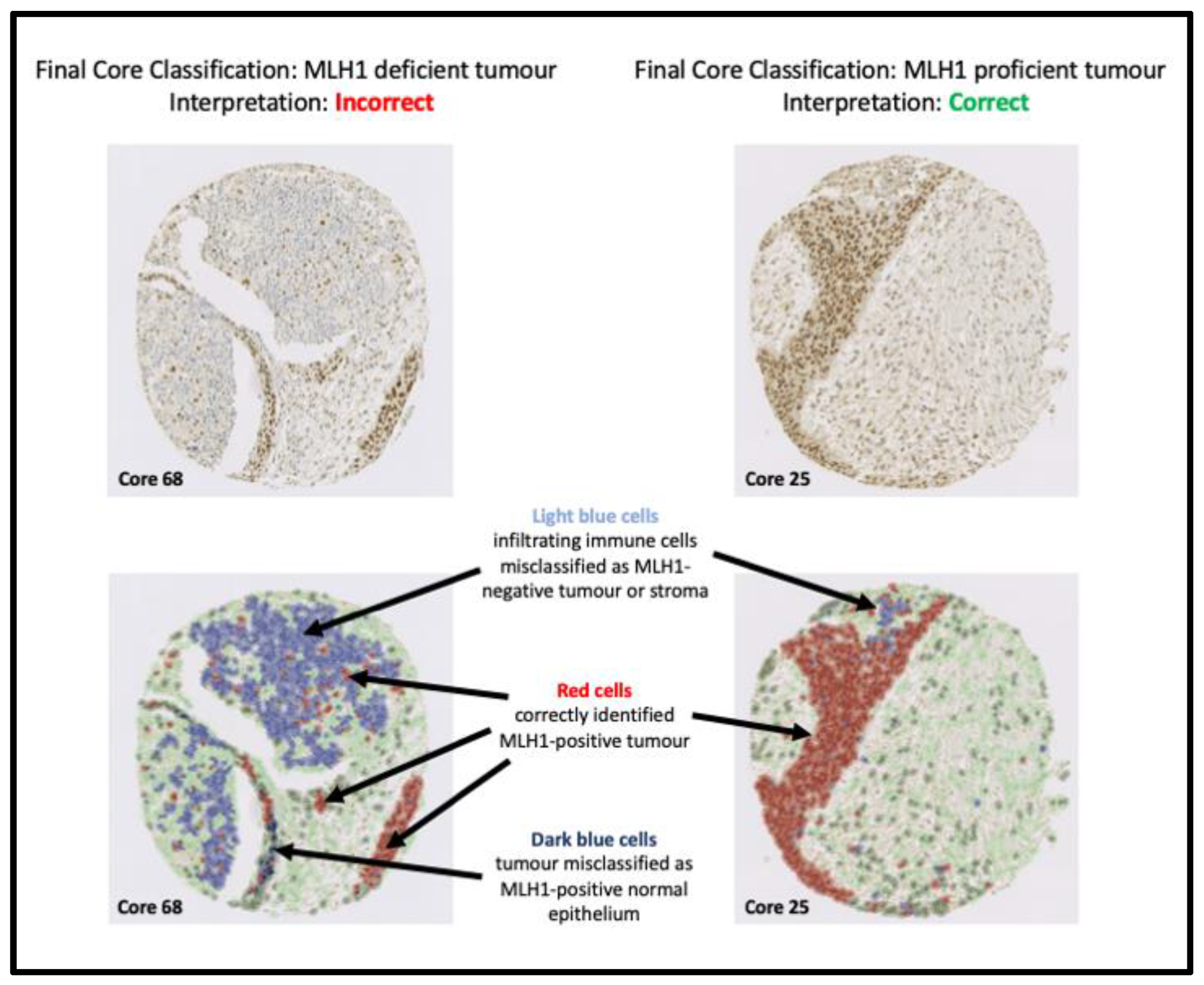 Diagnostics 13 01890 g004