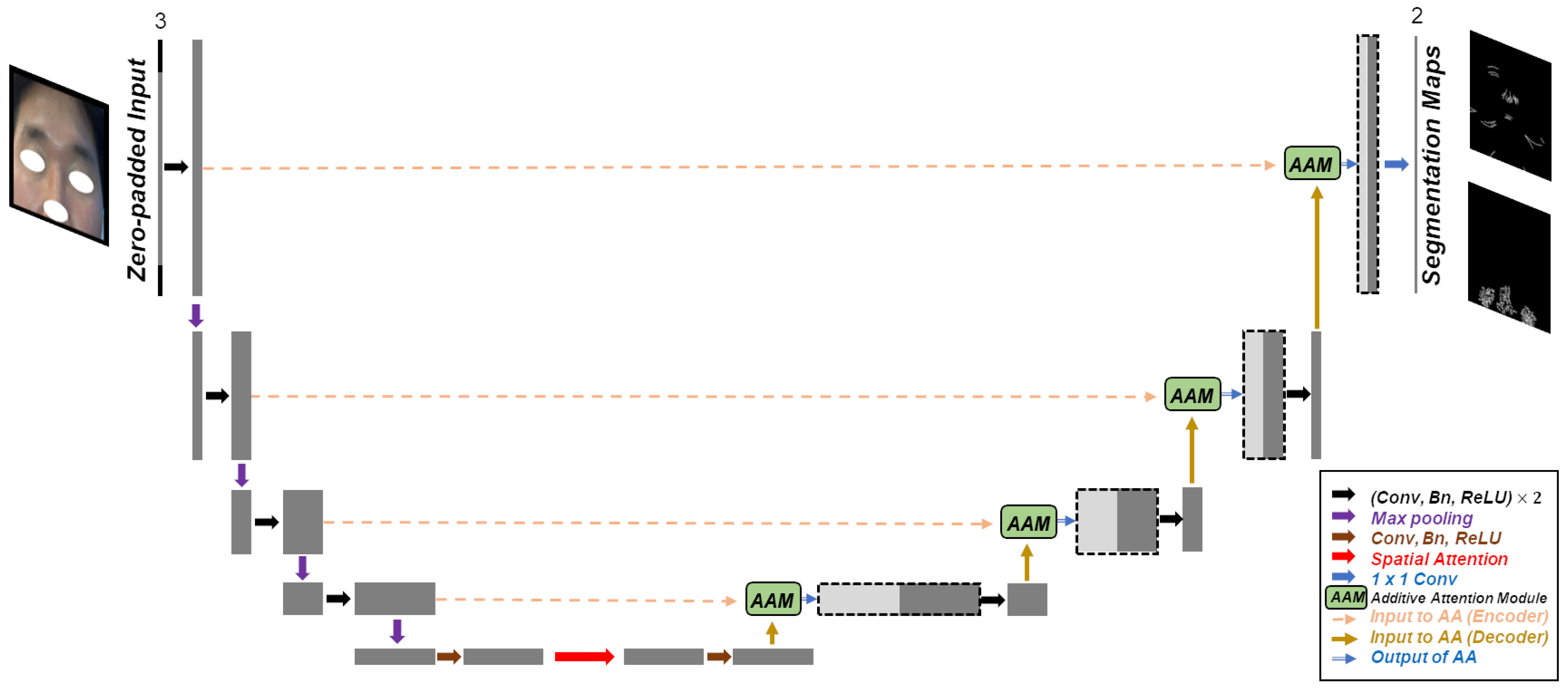 Diagnostics 13 01894 g003