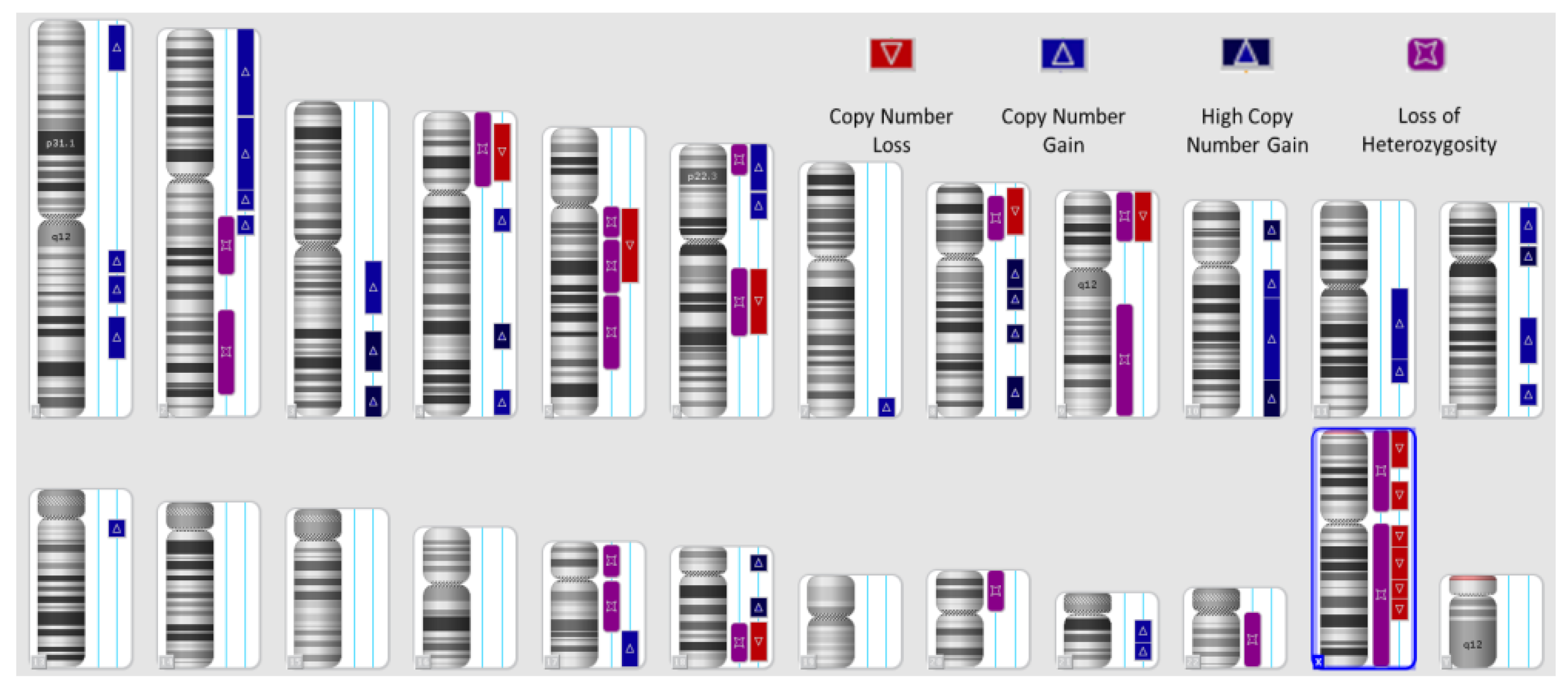 Diagnostics 13 01896 g001 Diagnostics 13 01896 g001