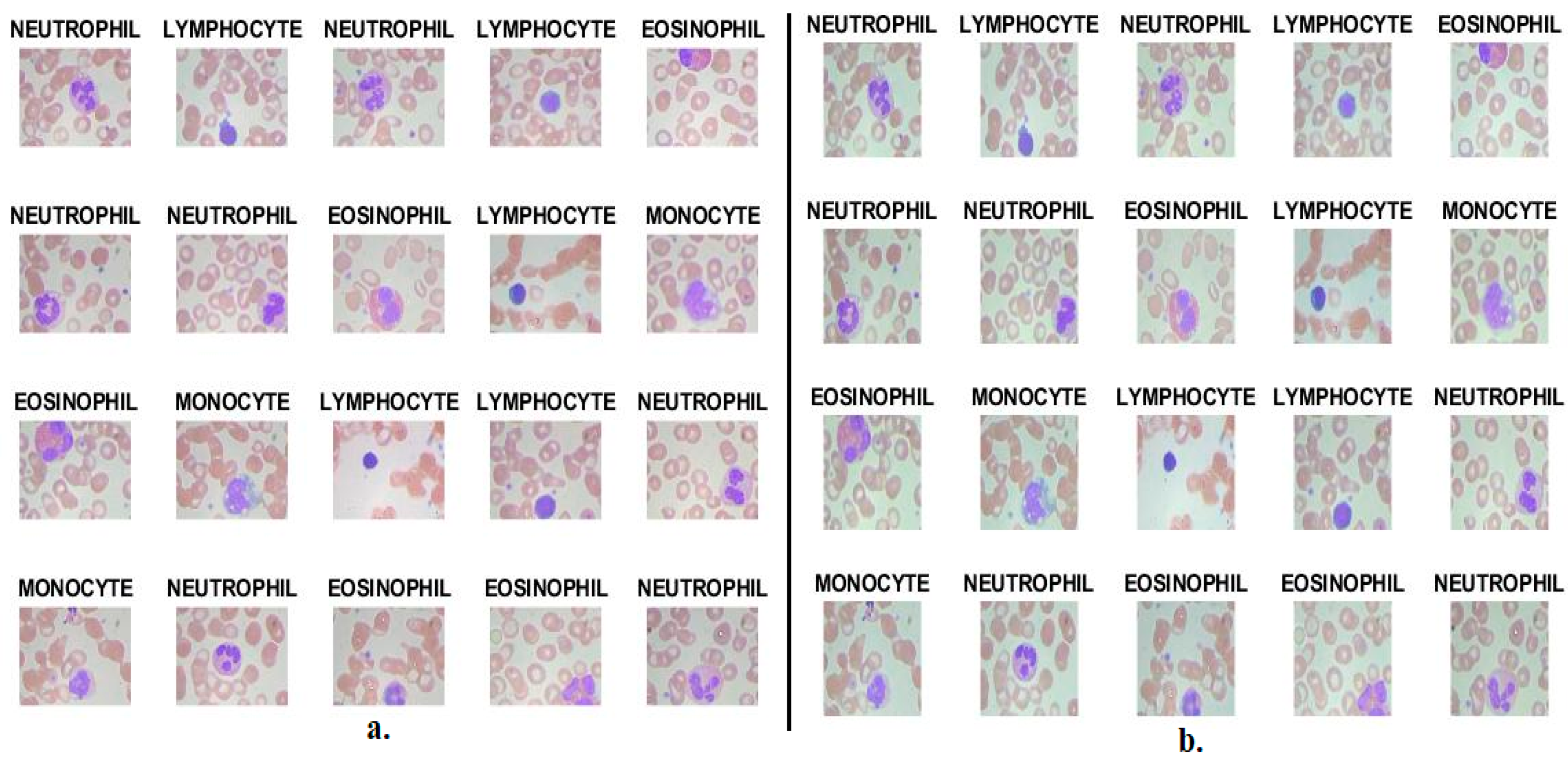Diagnostics 13 01899 g001