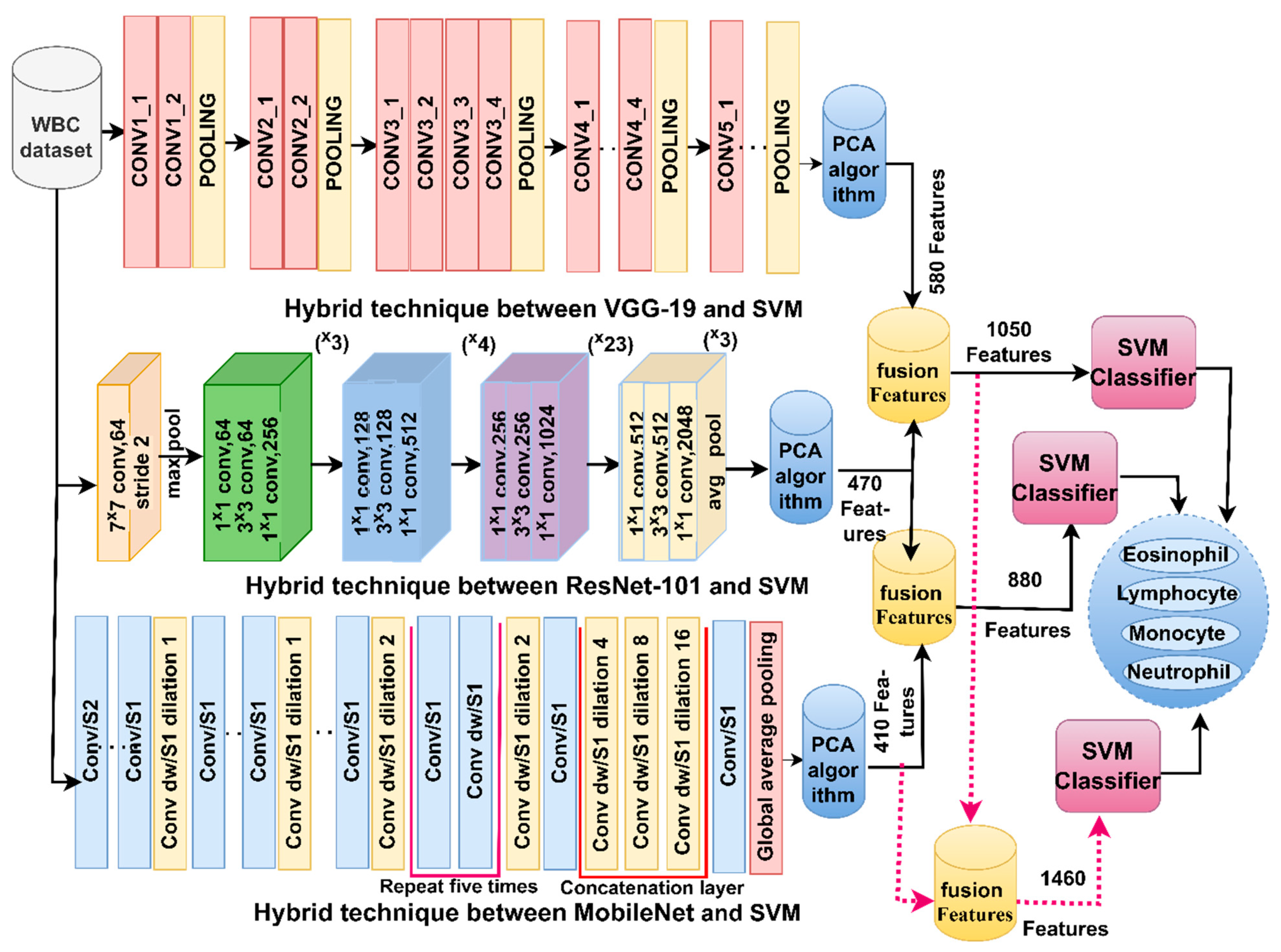 Diagnostics 13 01899 g003