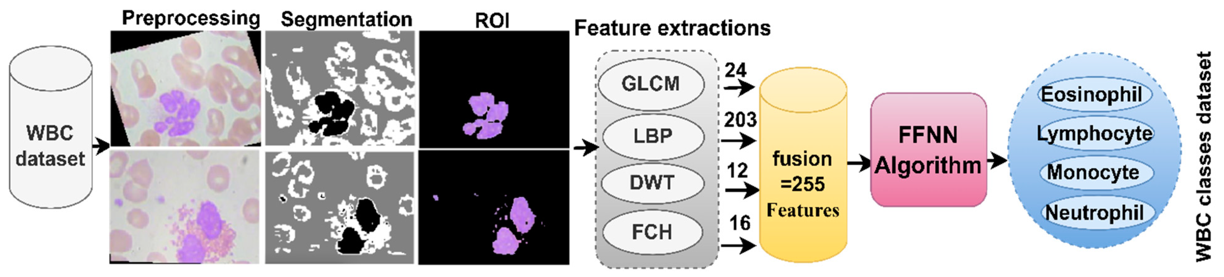 Diagnostics 13 01899 g005