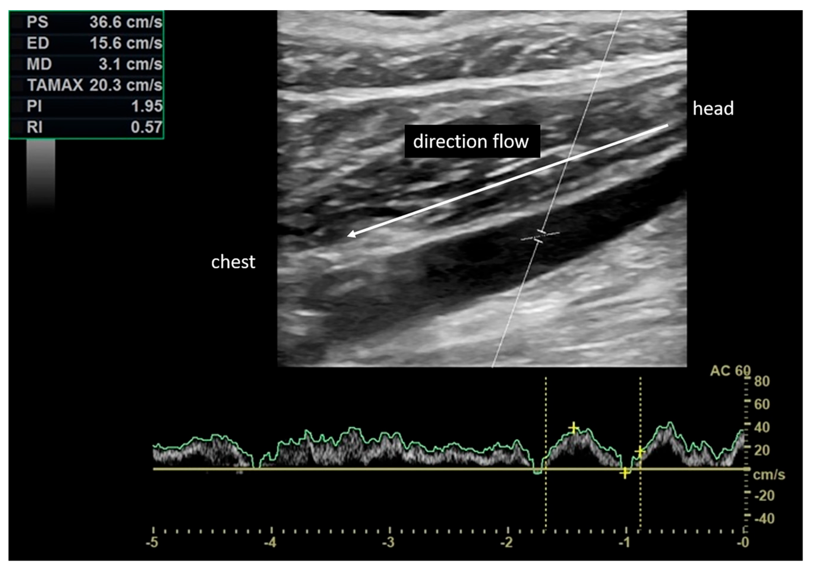 Diagnostics 13 01902 g001