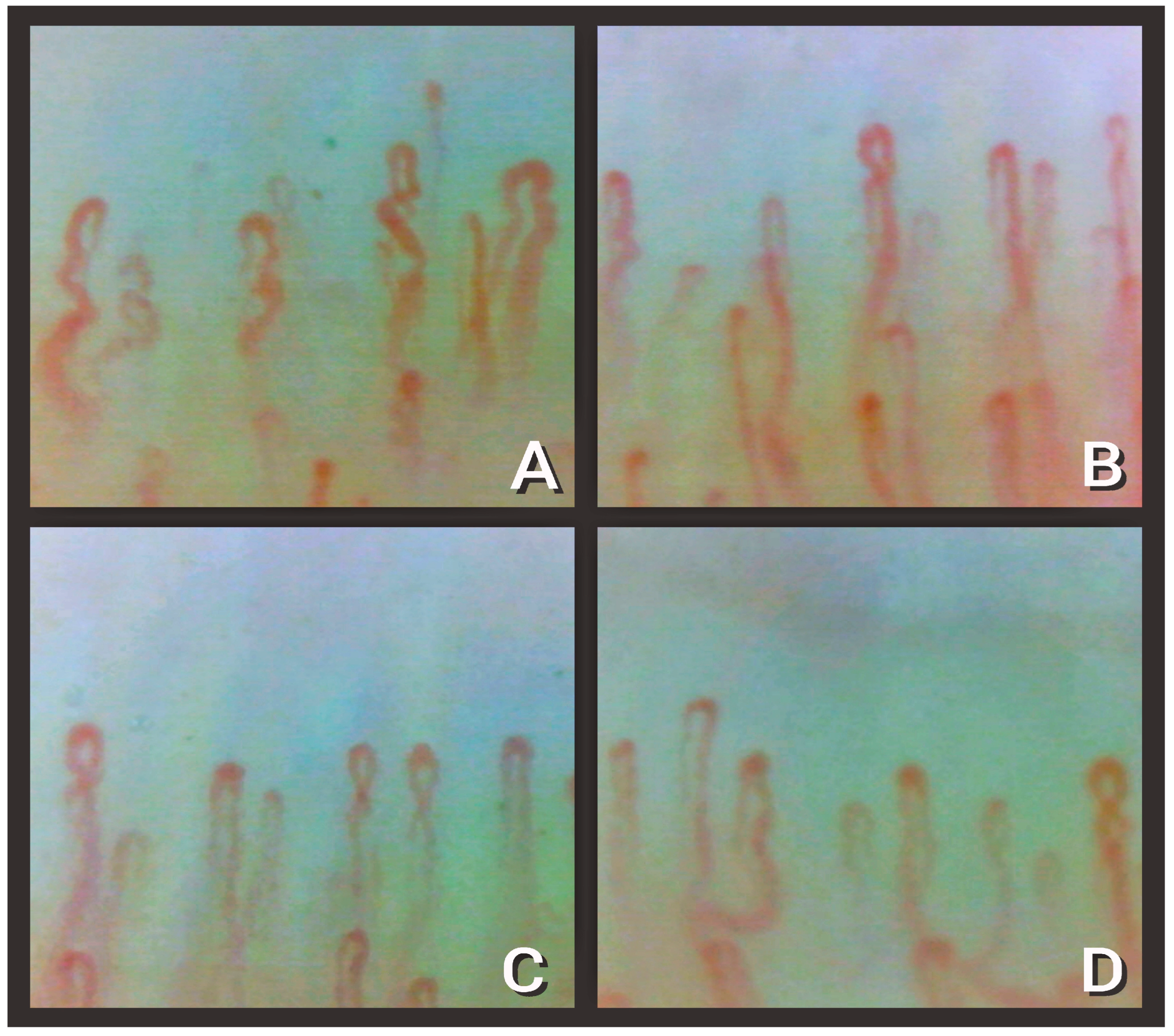 Diagnostics 13 01905 g002 Diagnostics 13 01905 g002