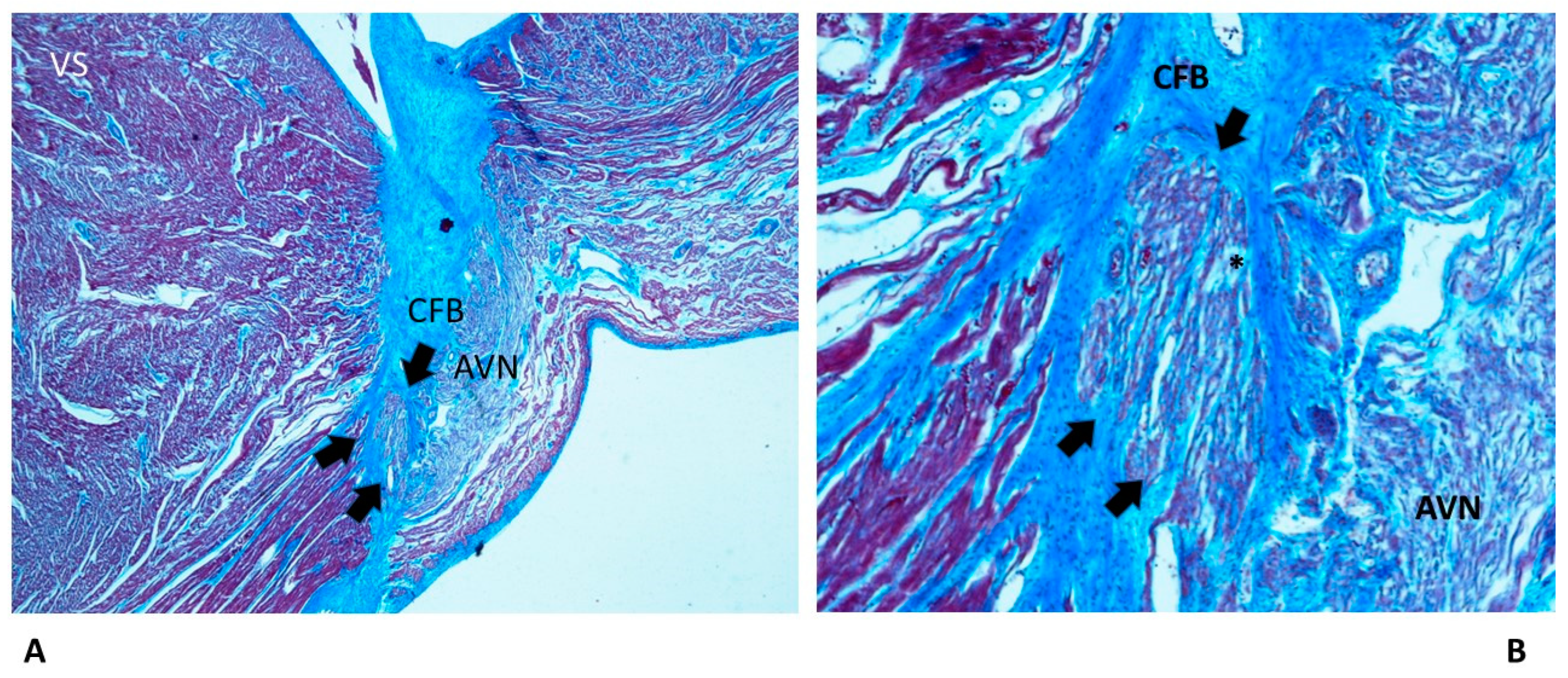 Diagnostics 13 01919 g002
