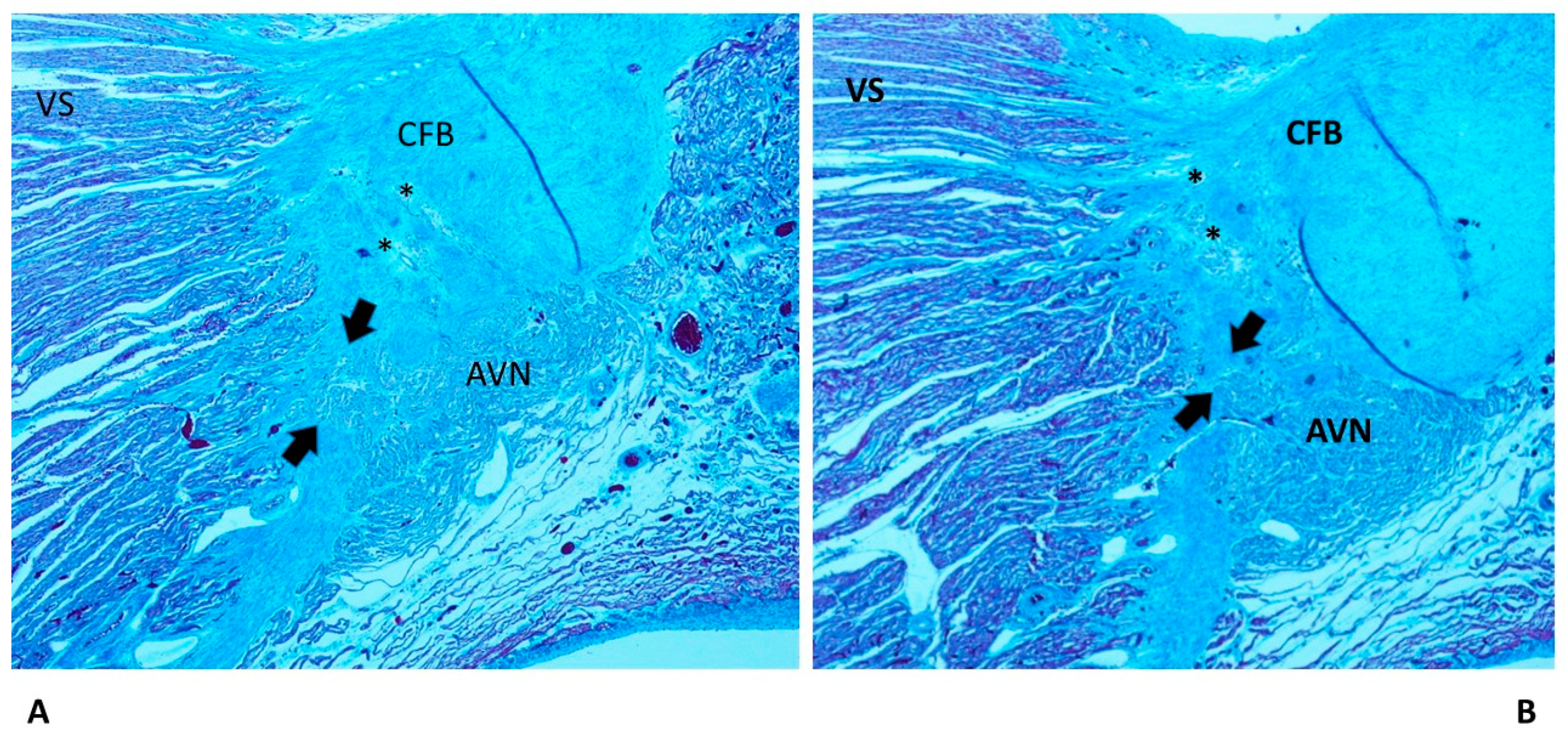 Diagnostics 13 01919 g003