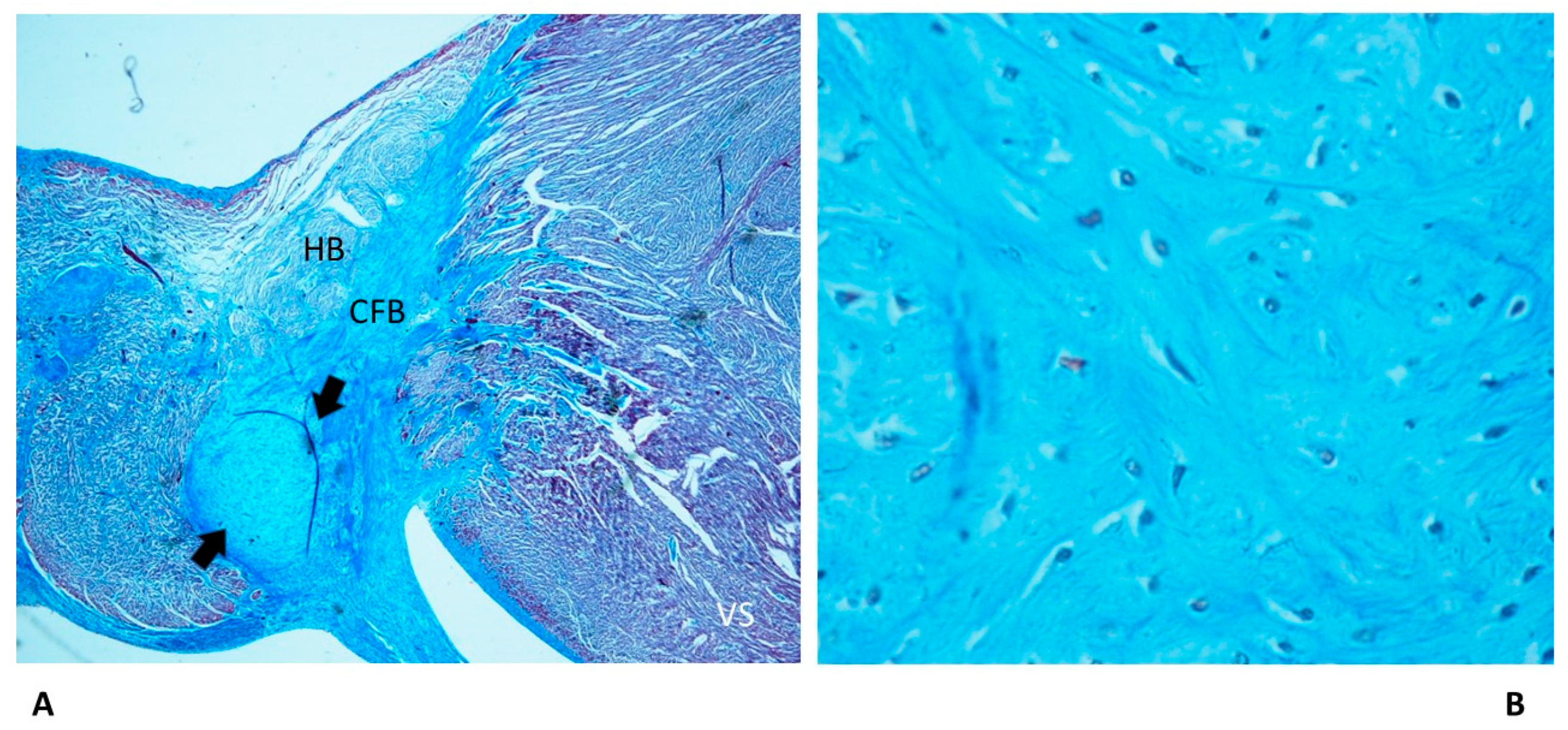 Diagnostics 13 01919 g004