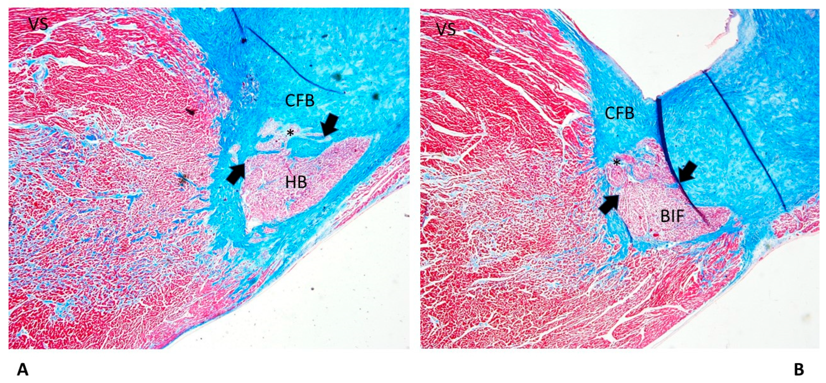 Diagnostics 13 01919 g005