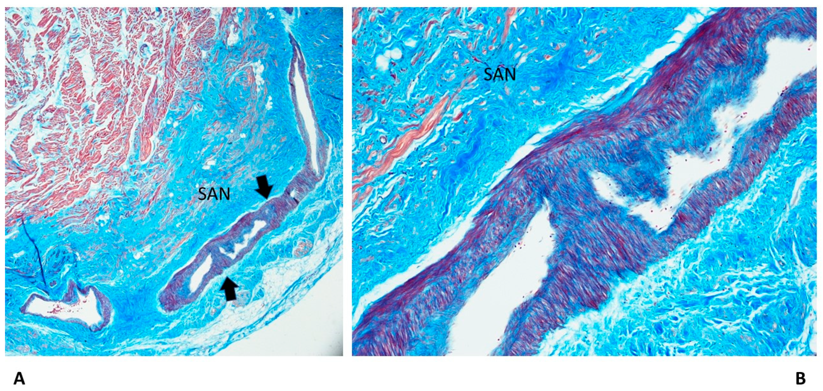 Diagnostics 13 01919 g006