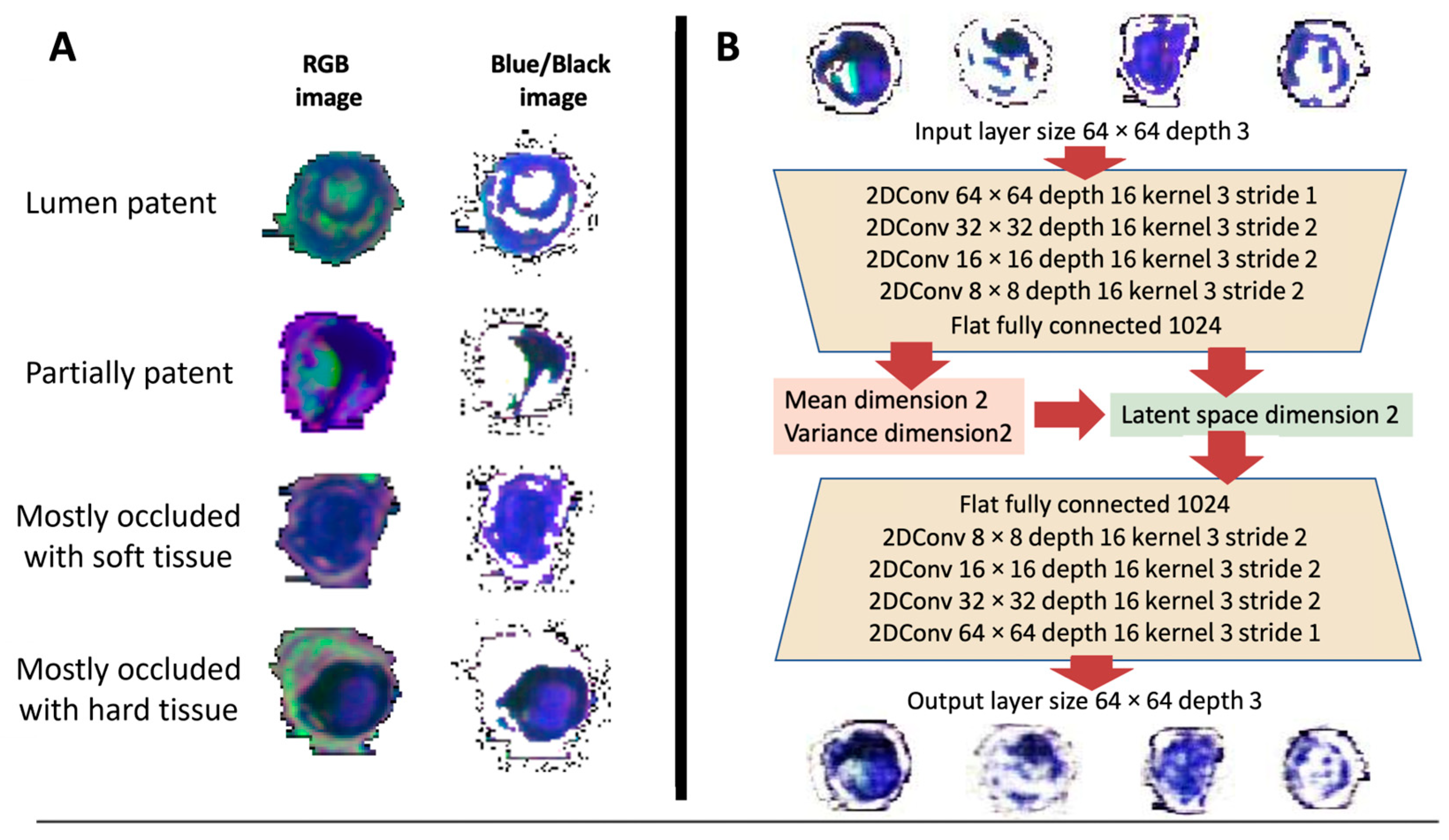 Diagnostics 13 01925 g001