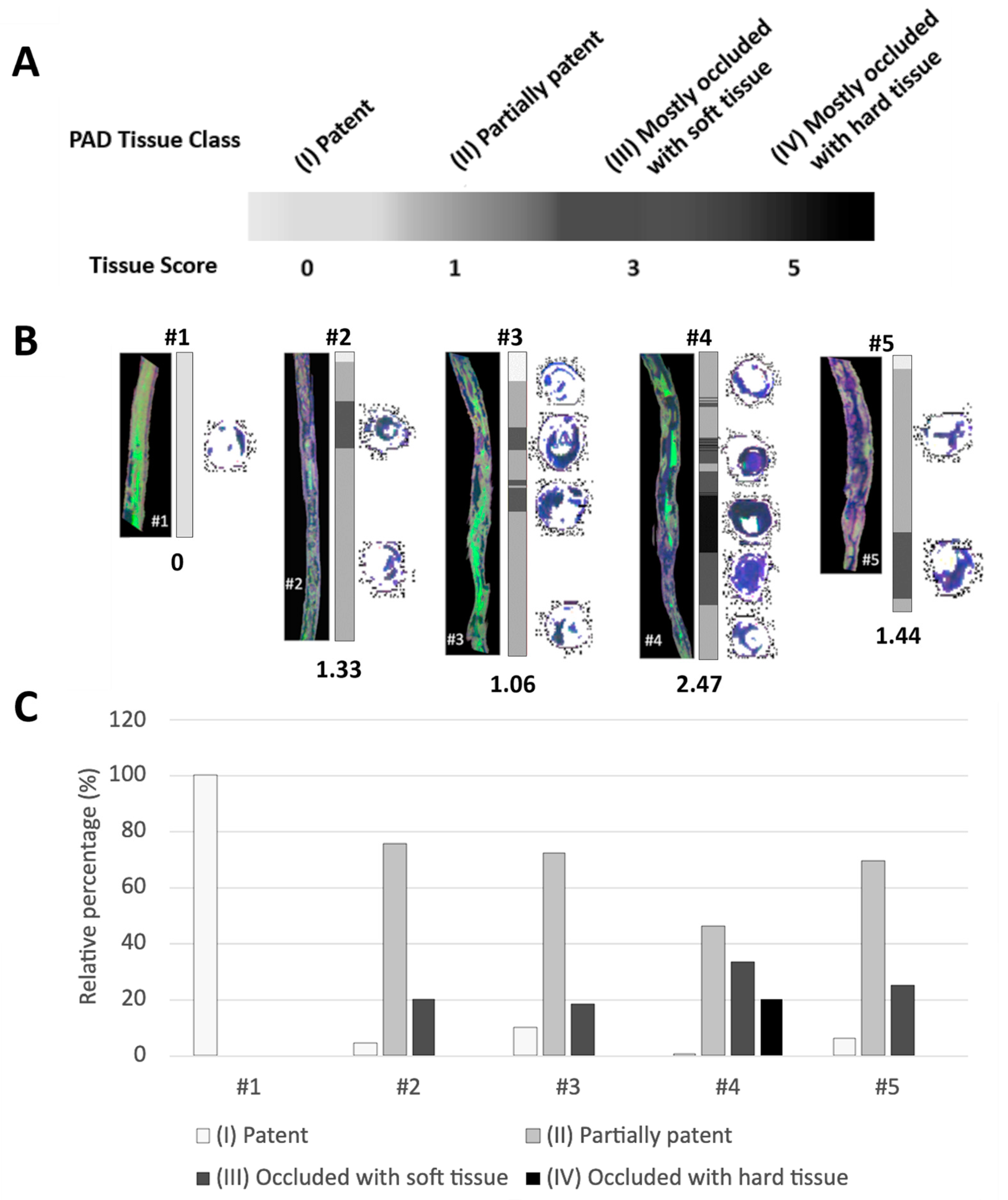 Diagnostics 13 01925 g003