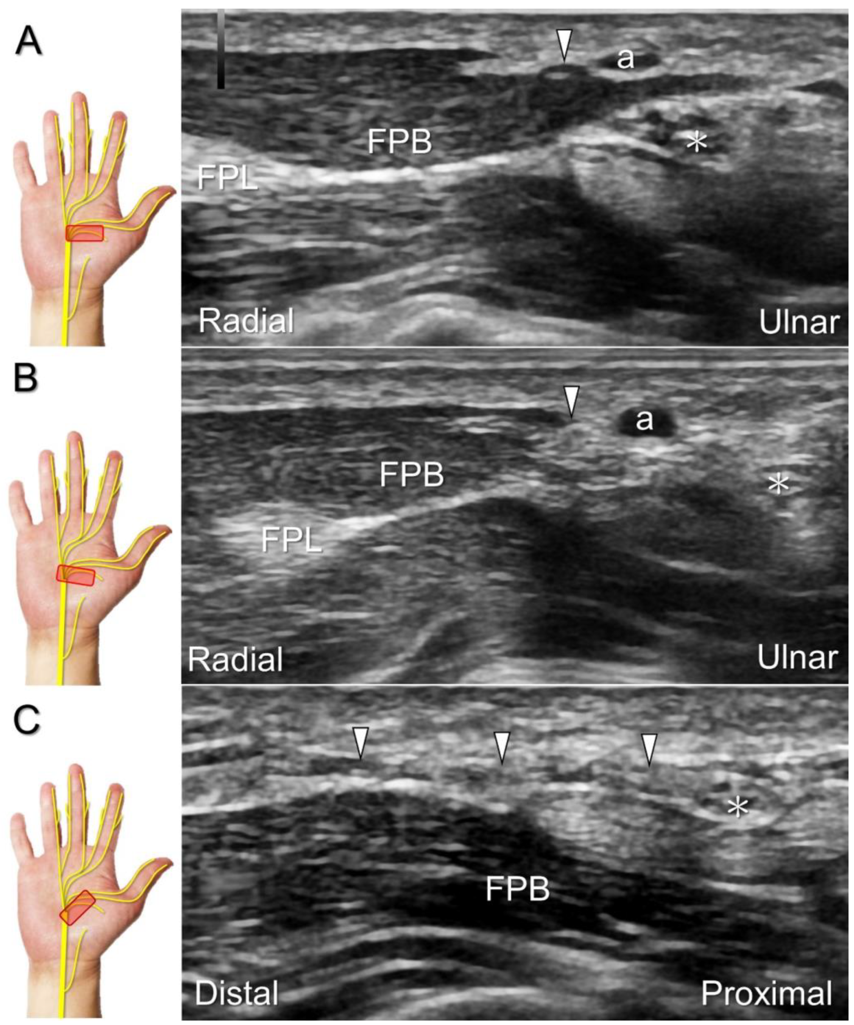 Diagnostics 13 01928 g010