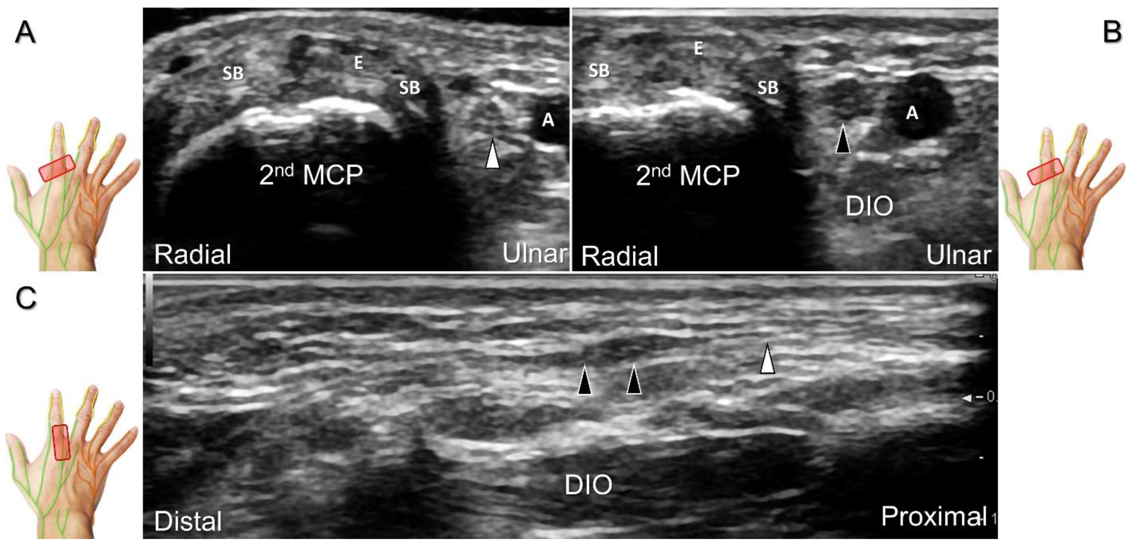 Diagnostics 13 01928 g036
