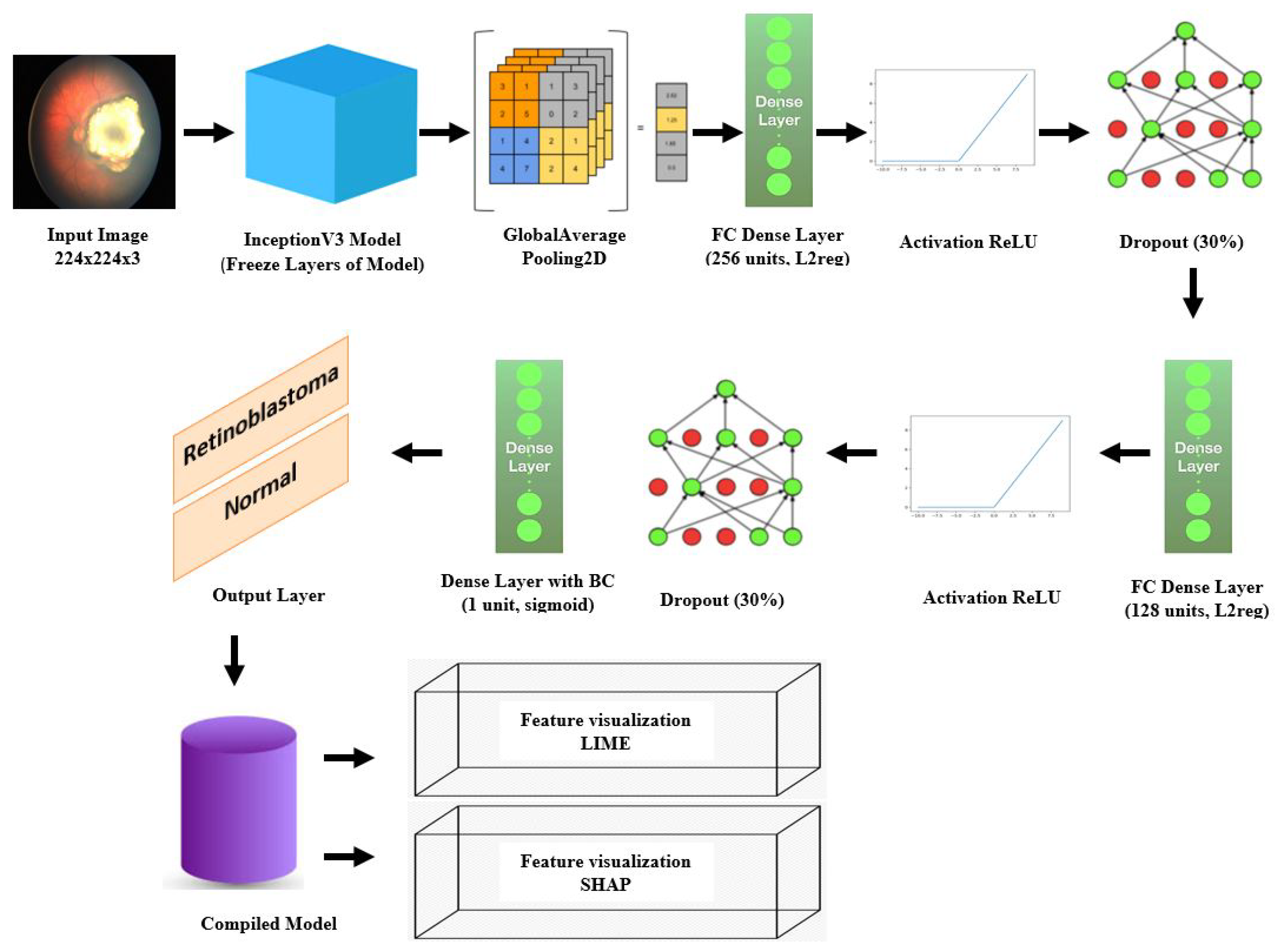 Diagnostics 13 01932 g005