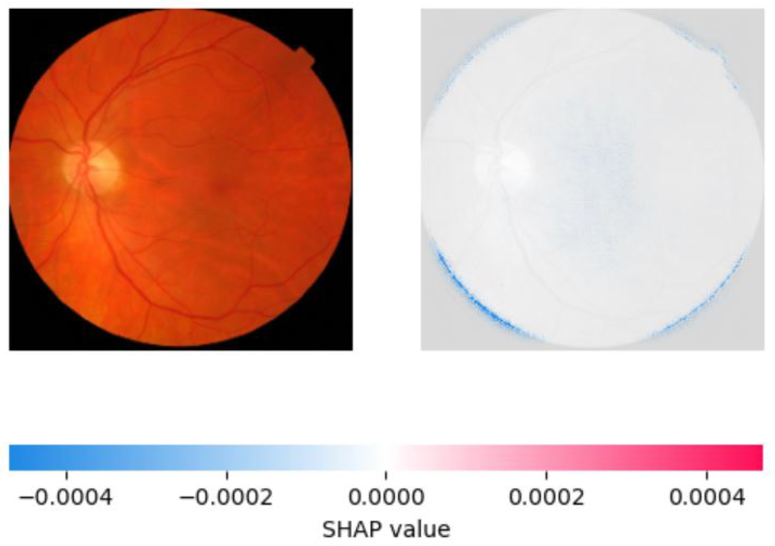 Diagnostics 13 01932 g013