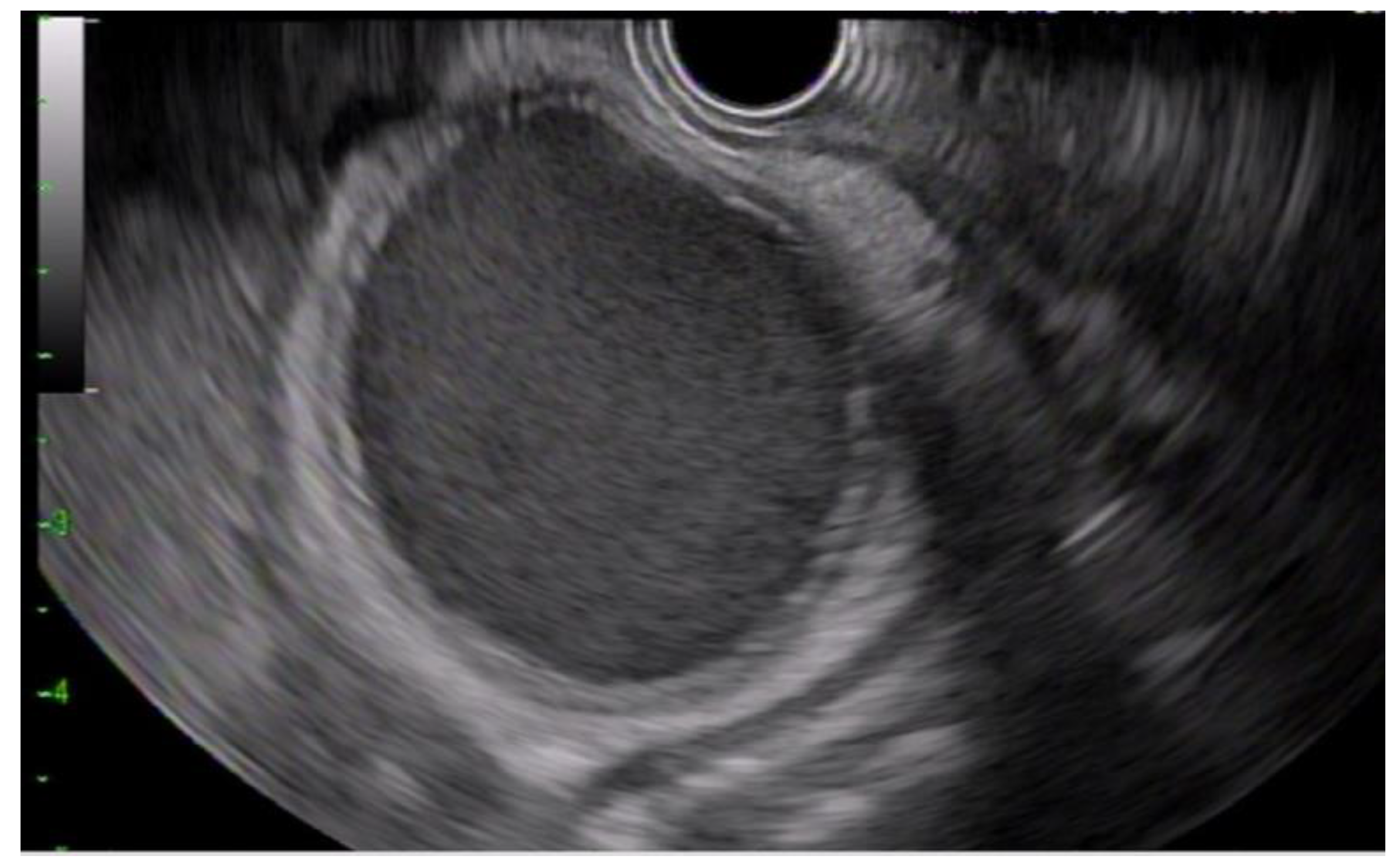 Diagnostics 13 01933 g001