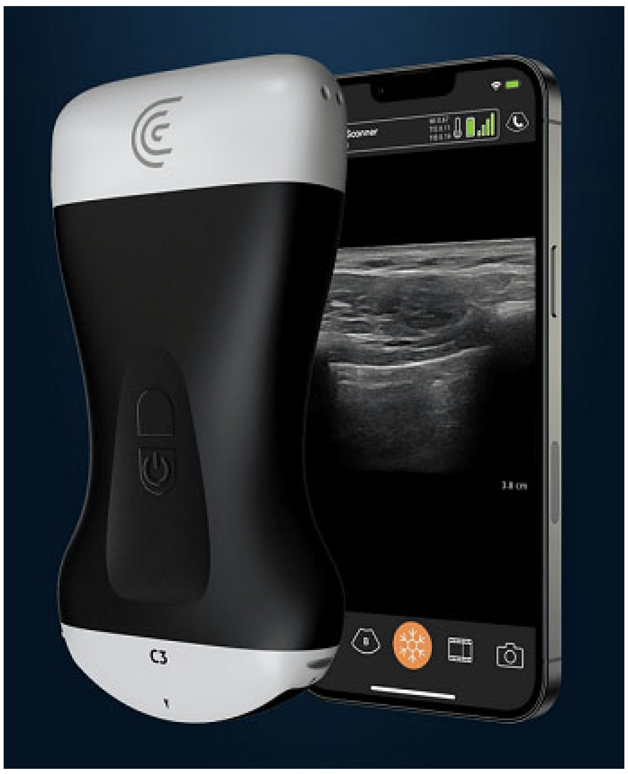 Diagnostics 13 01941 g004