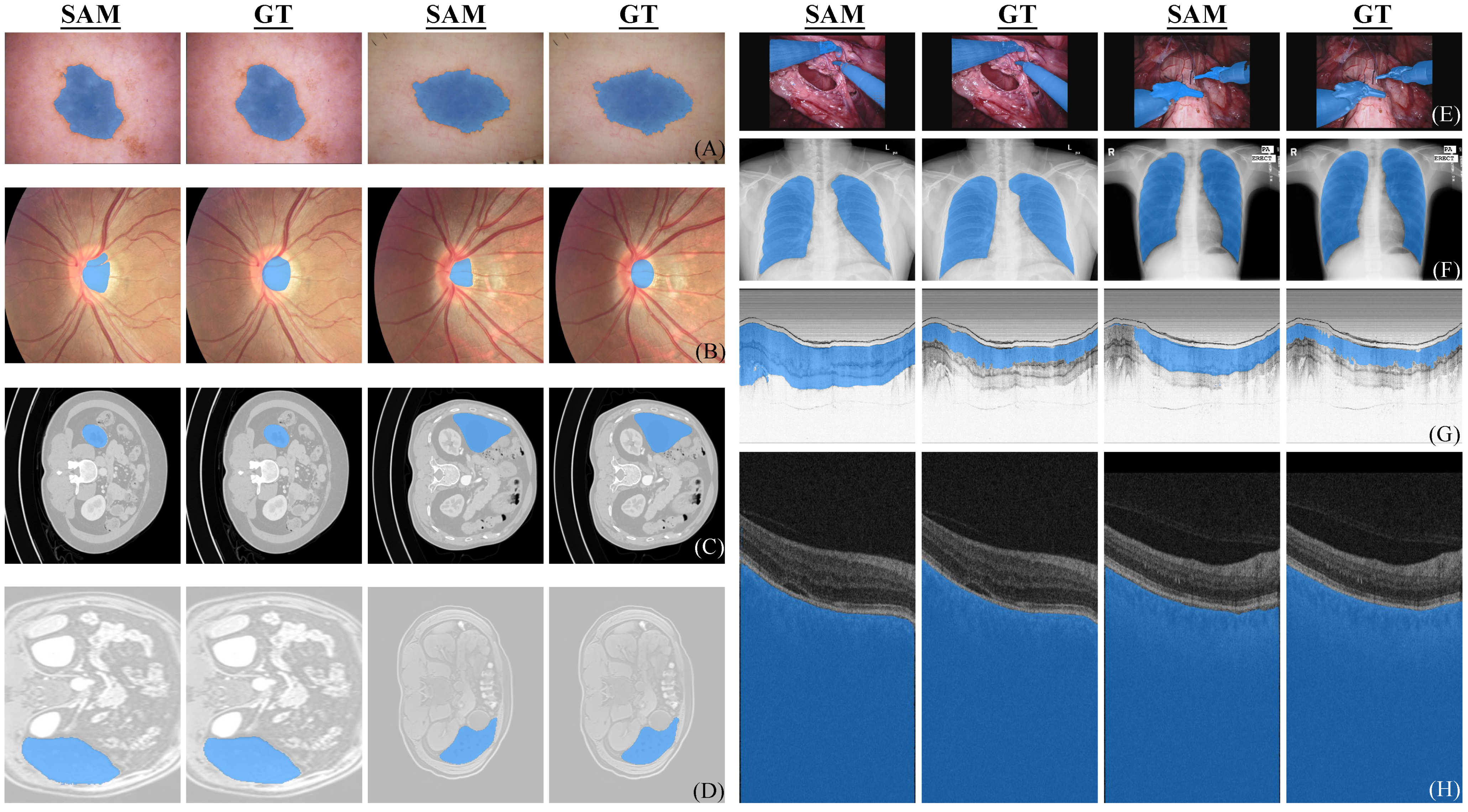 Diagnostics 13 01947 g001