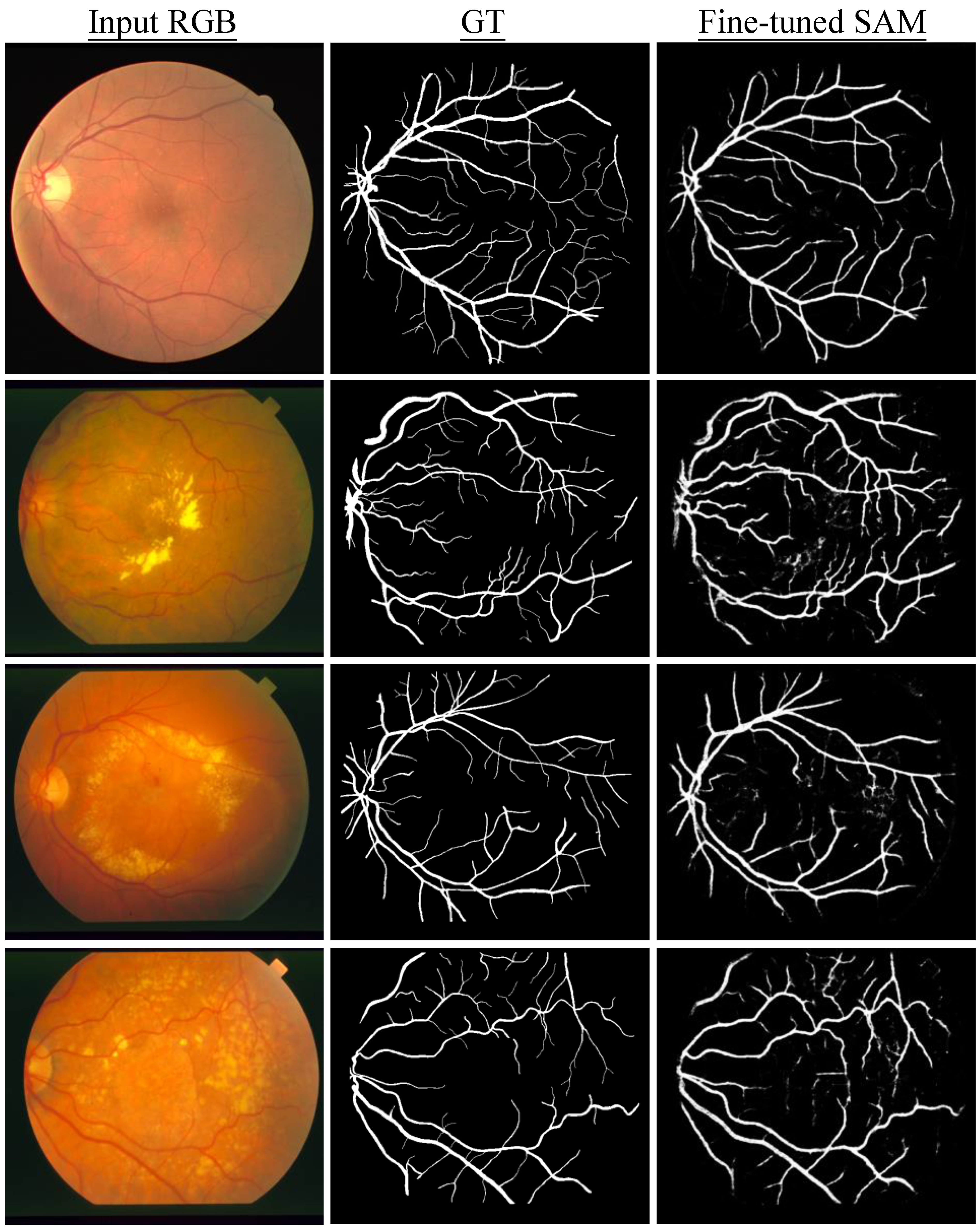 Diagnostics 13 01947 g004