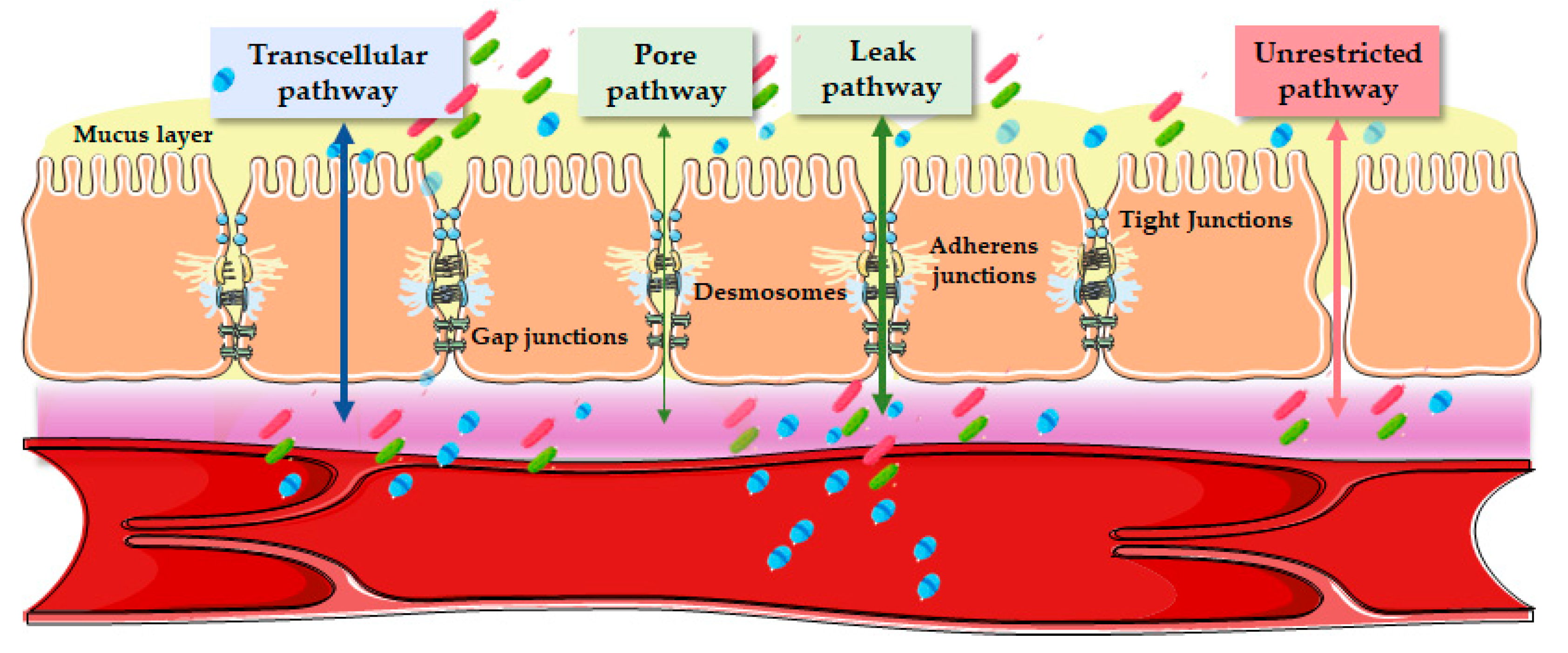 Diagnostics 13 01976 g002 Diagnostics 13 01976 g002