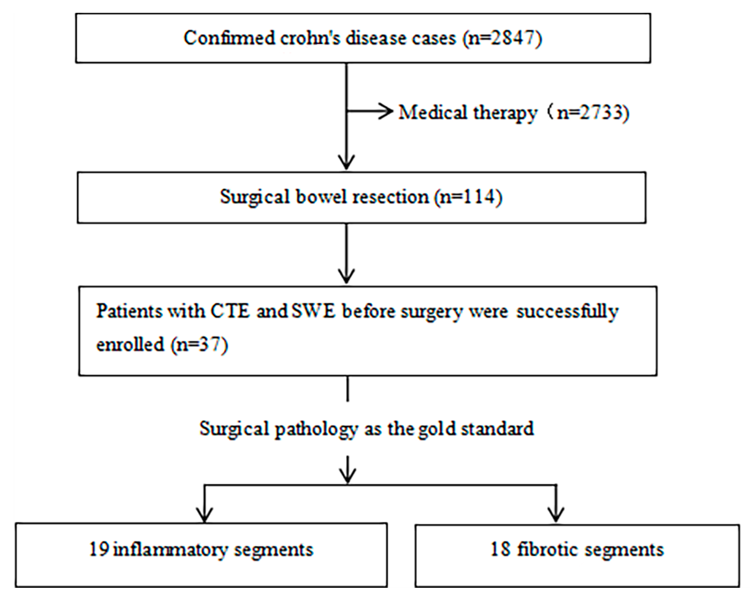 Diagnostics 13 01980 g001