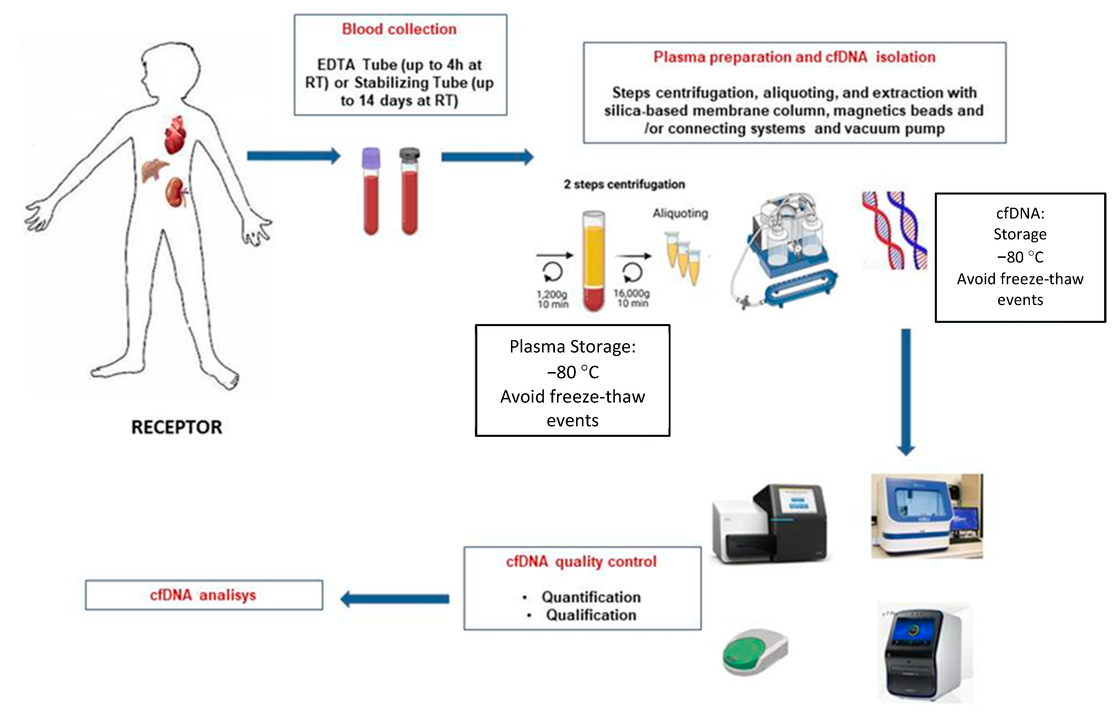 Diagnostics 13 01982 g001