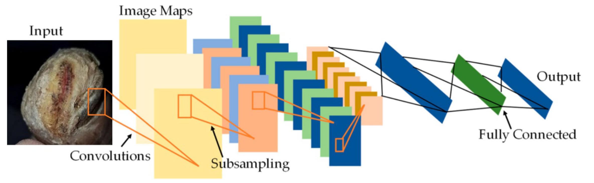 Diagnostics 13 01983 g004