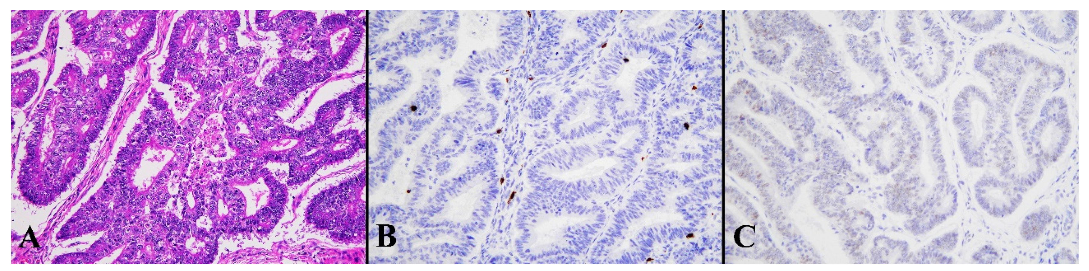 Diagnostics 13 01985 g006