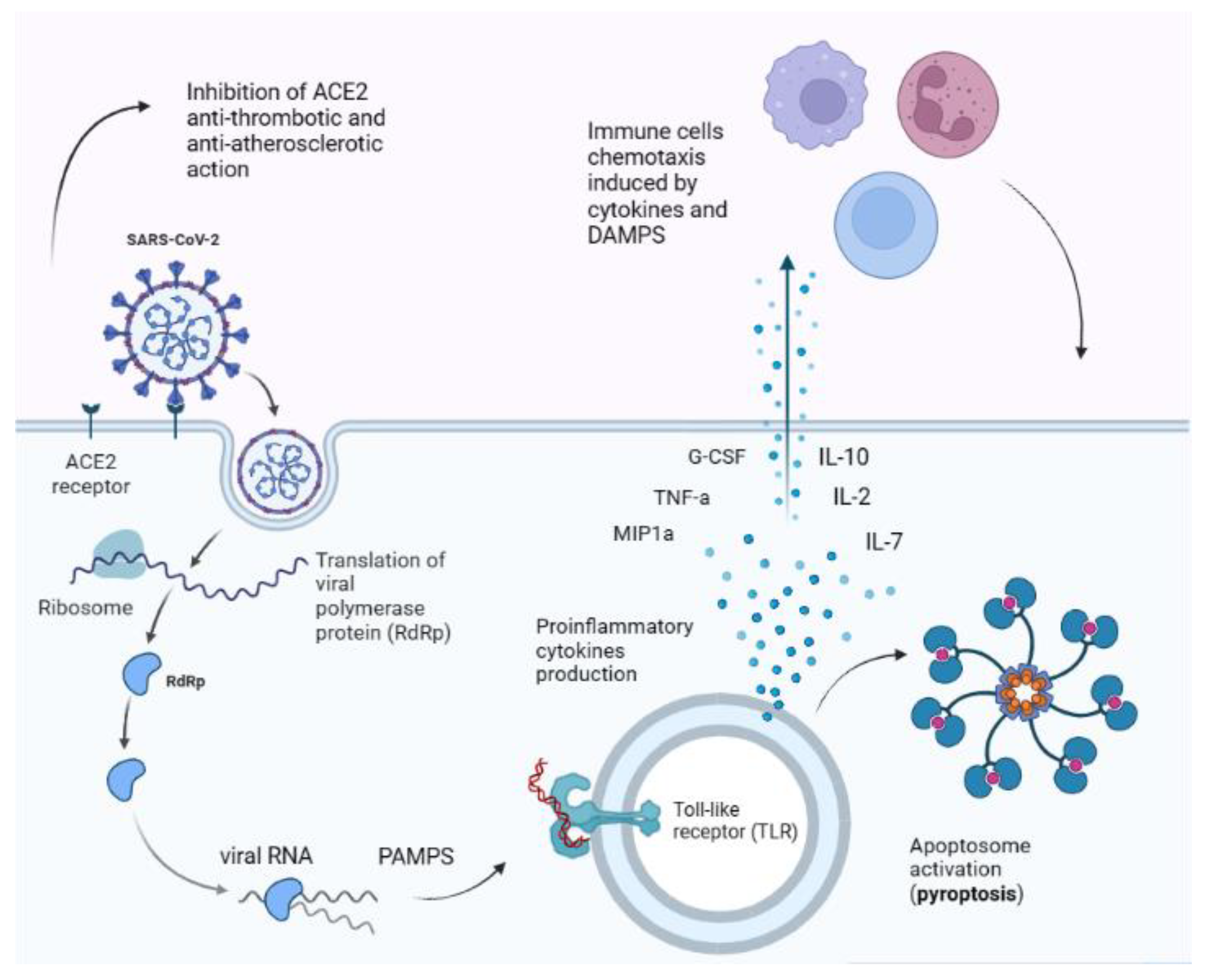 Diagnostics 13 01990 g001
