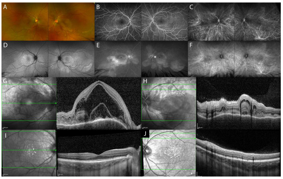Diagnostics 13 01991 g001