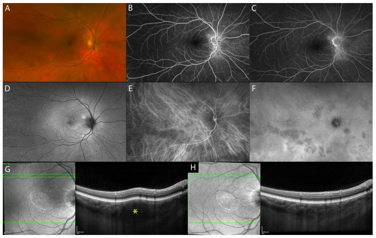 Diagnostics 13 01991 g002