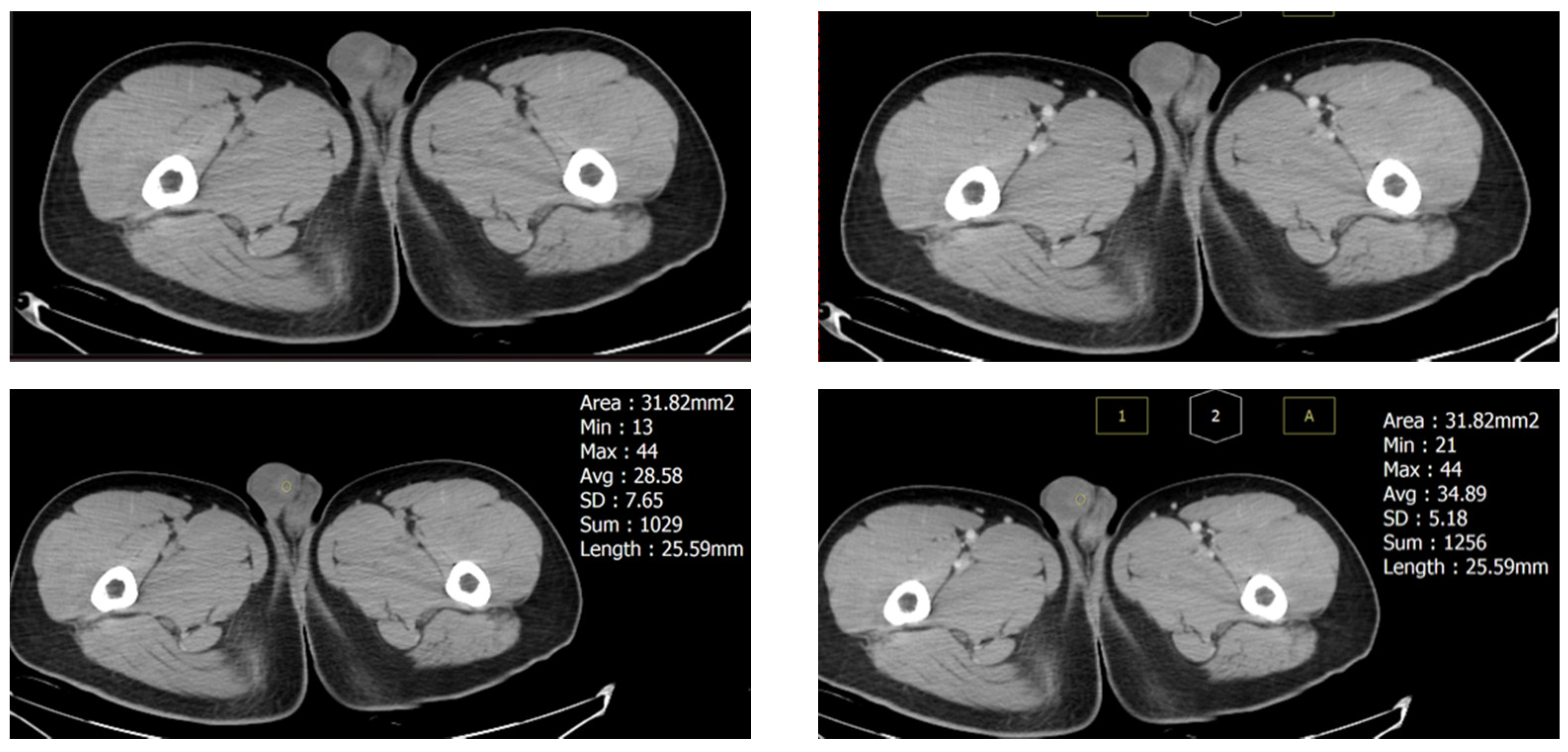Diagnostics 13 01993 g002