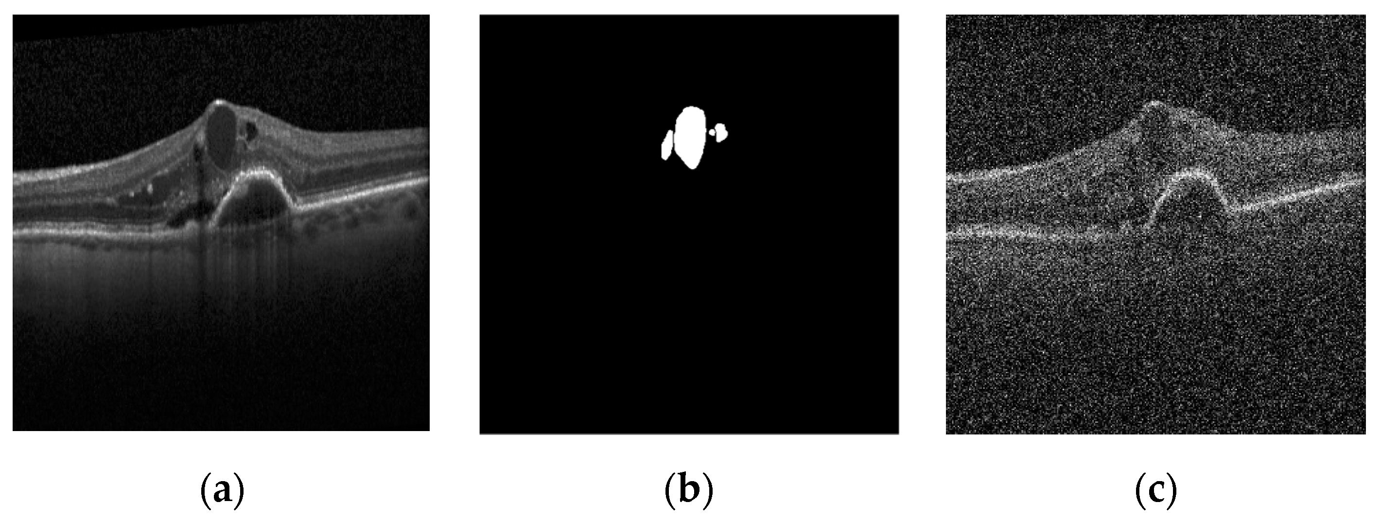 Diagnostics 13 01994 g001
