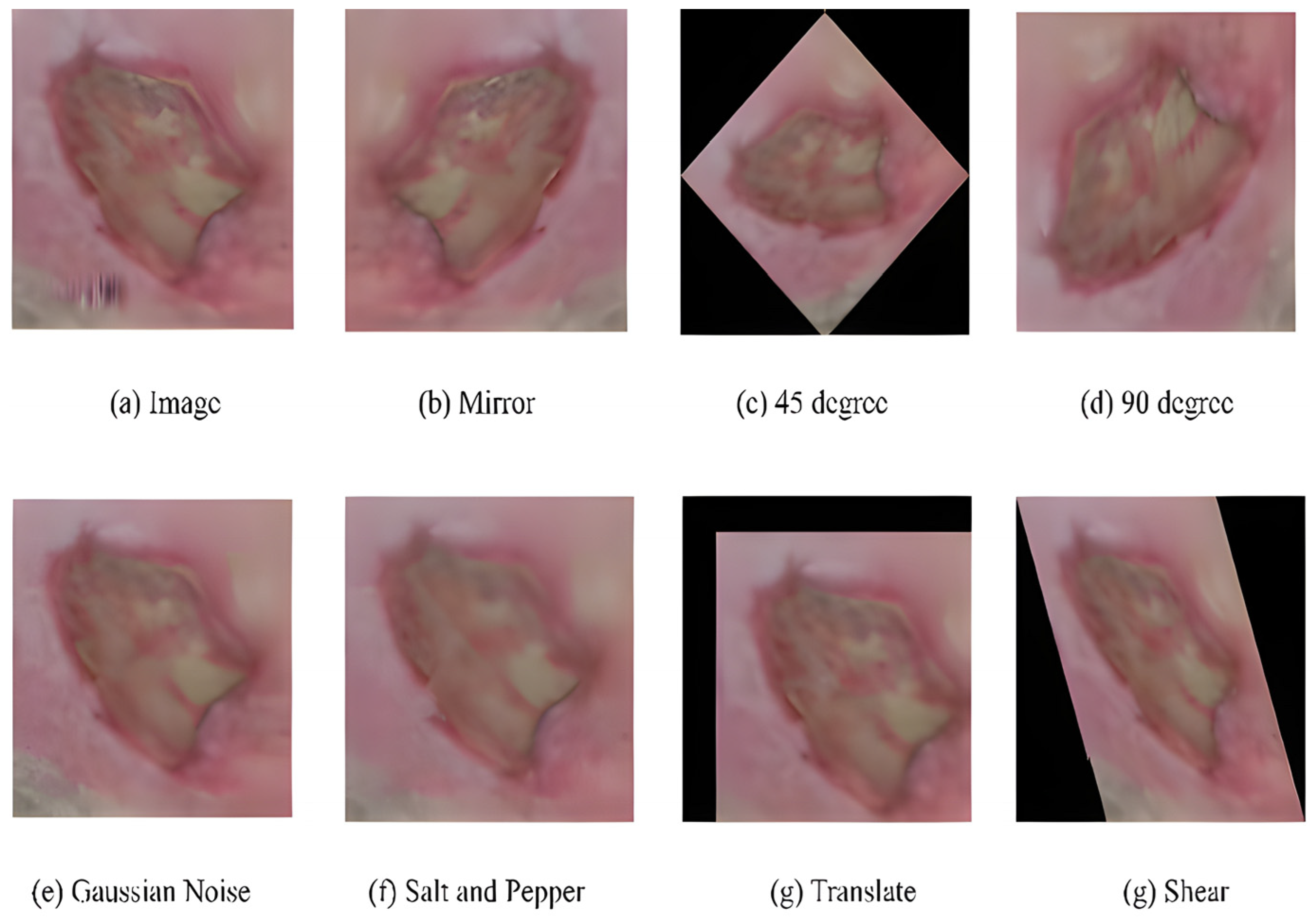 Diagnostics 13 01998 g015 Diagnostics 13 01998 g015