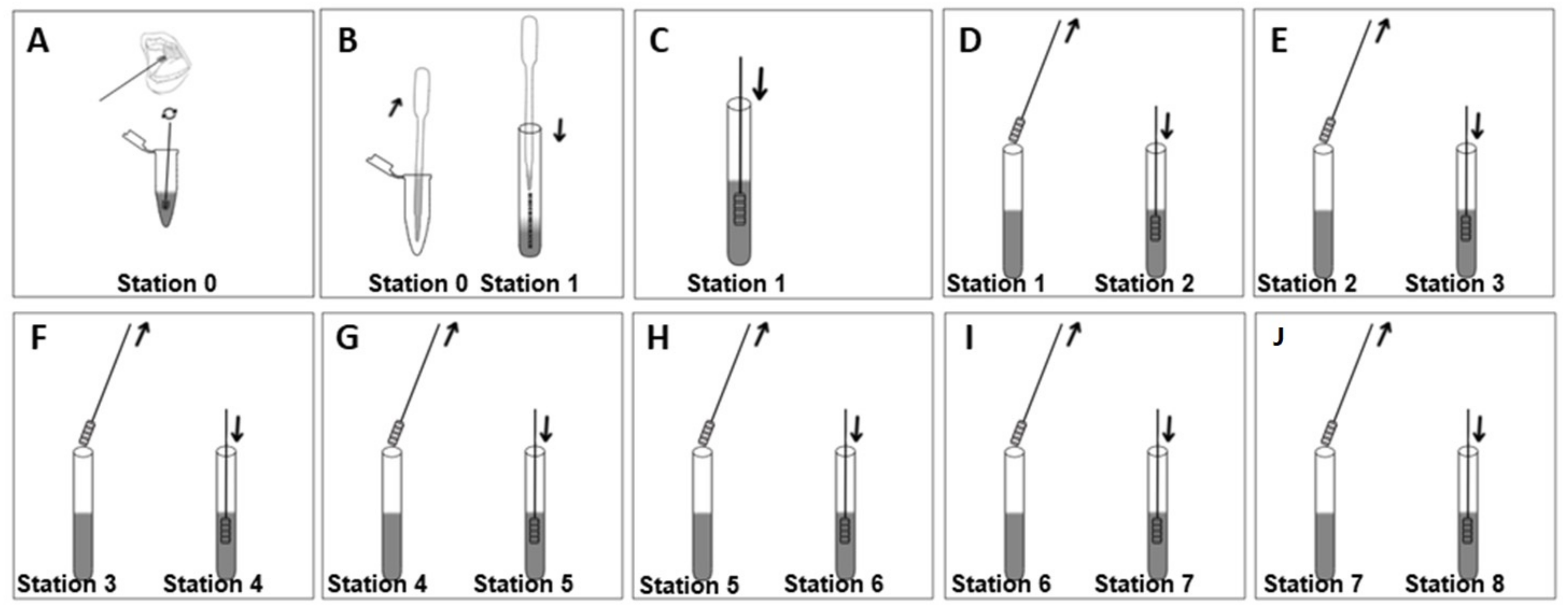 Diagnostics 13 02001 g002