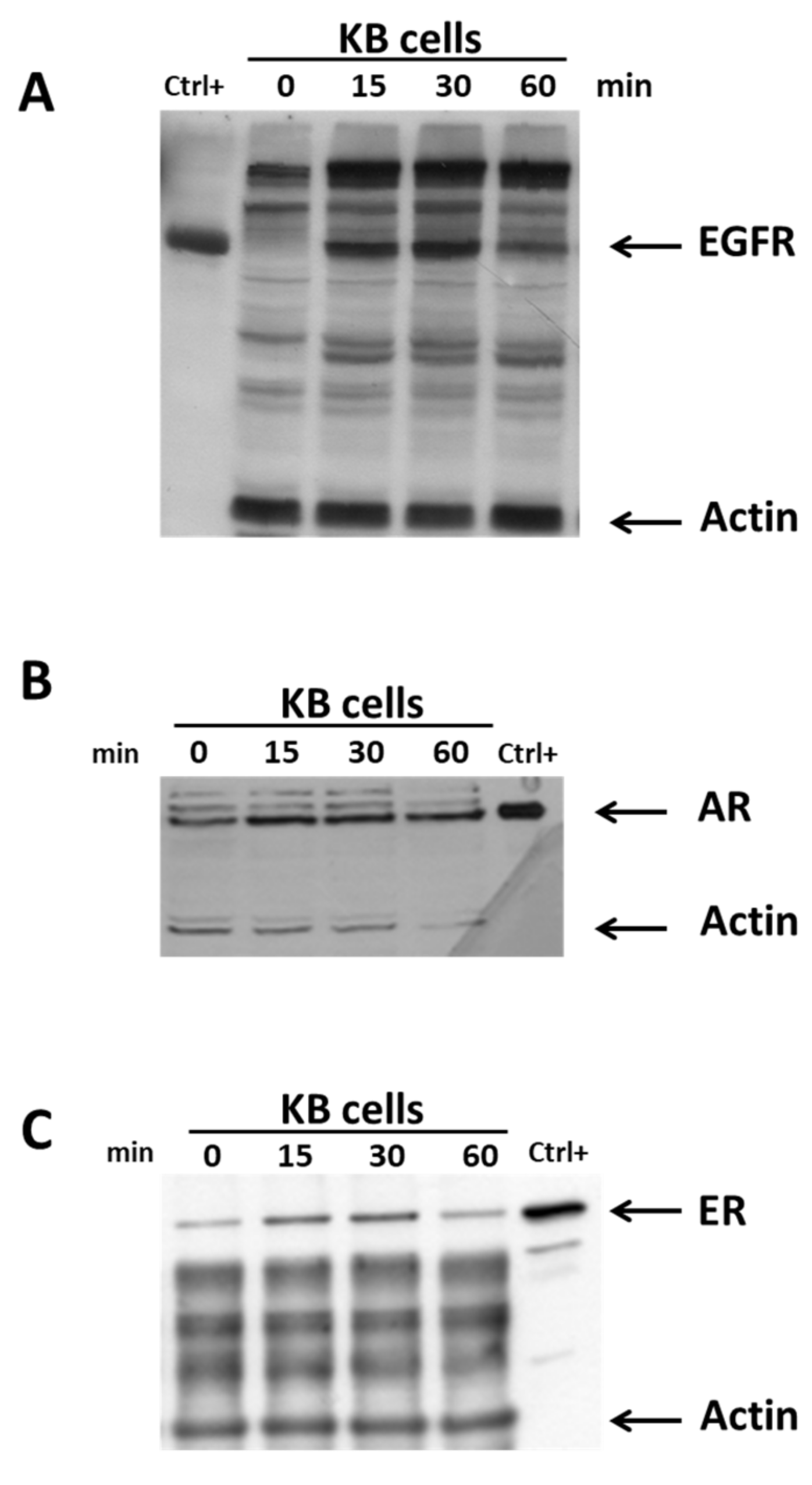 Diagnostics 13 02001 g003