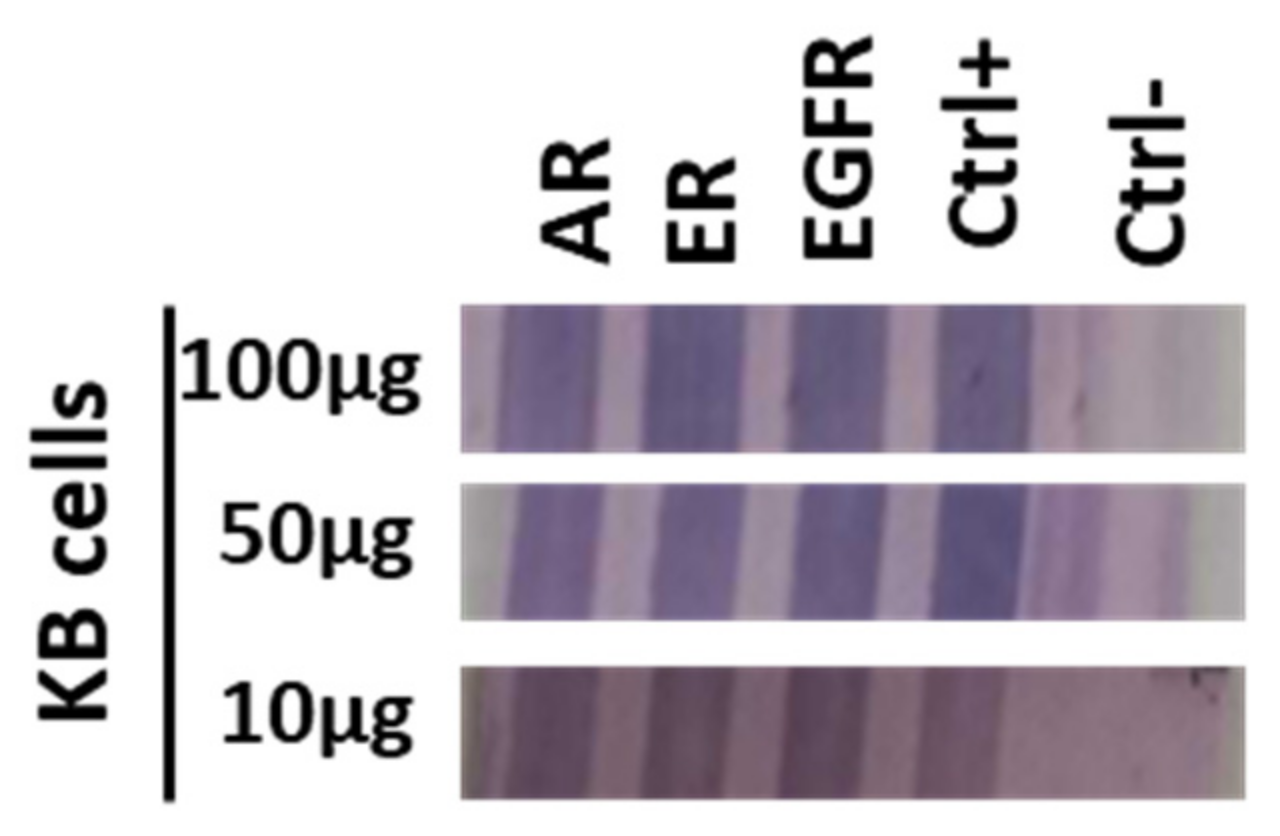 Diagnostics 13 02001 g004