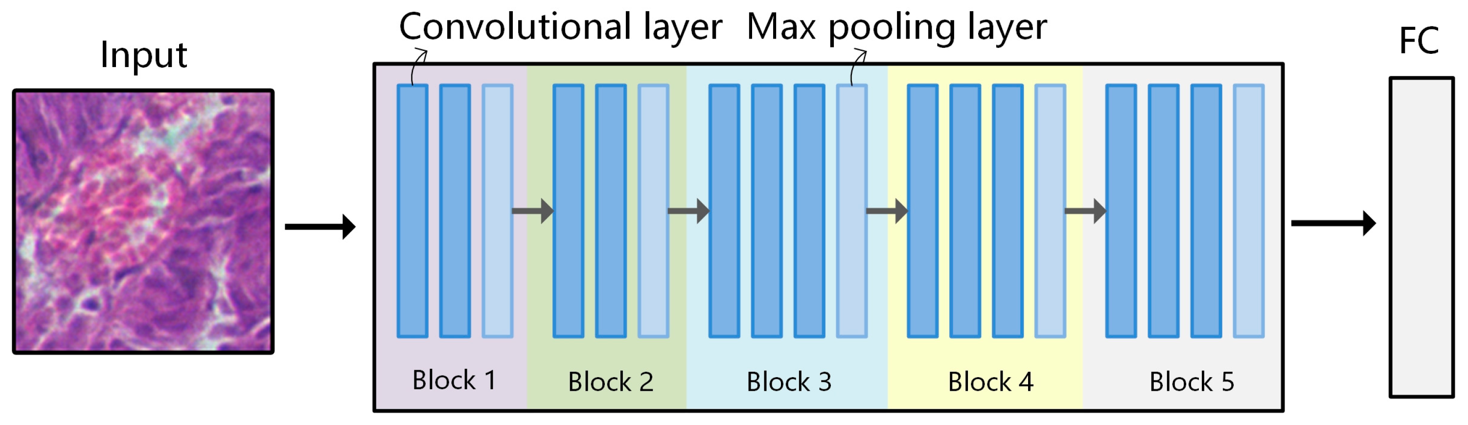 Diagnostics 13 02002 g005